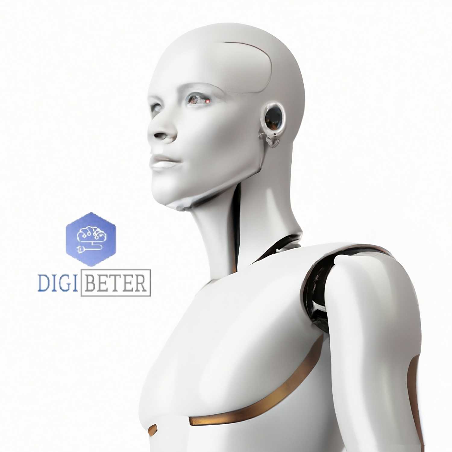 DigiBeter