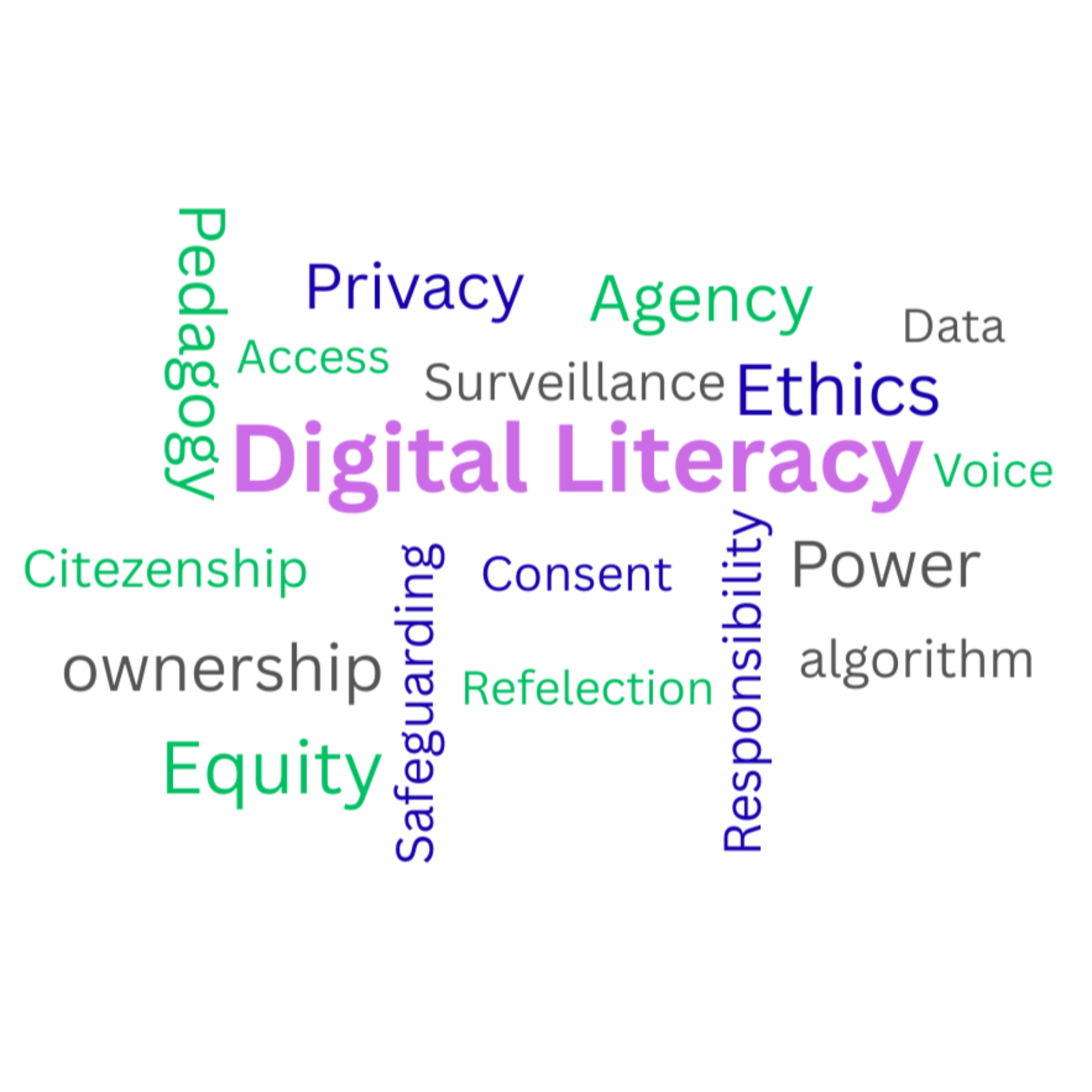 Digital Literacy cover art