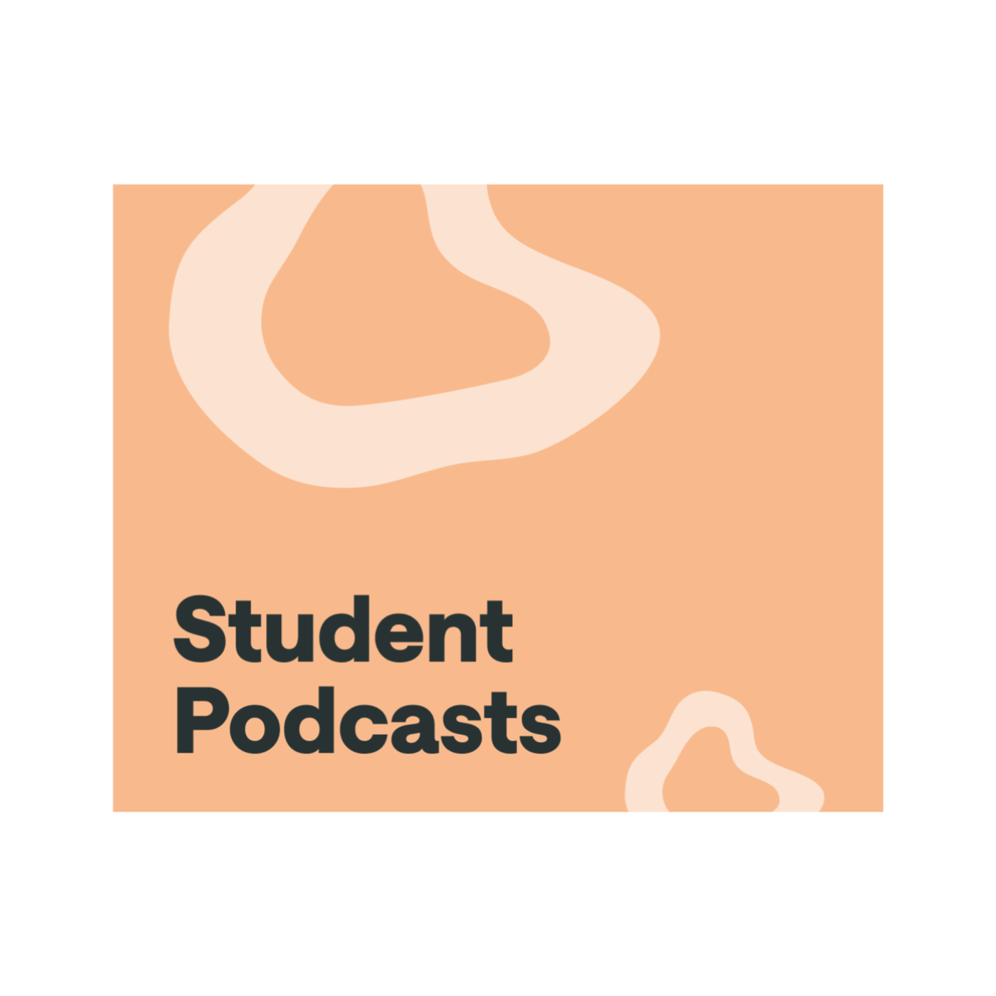 Digital Literacy in Education