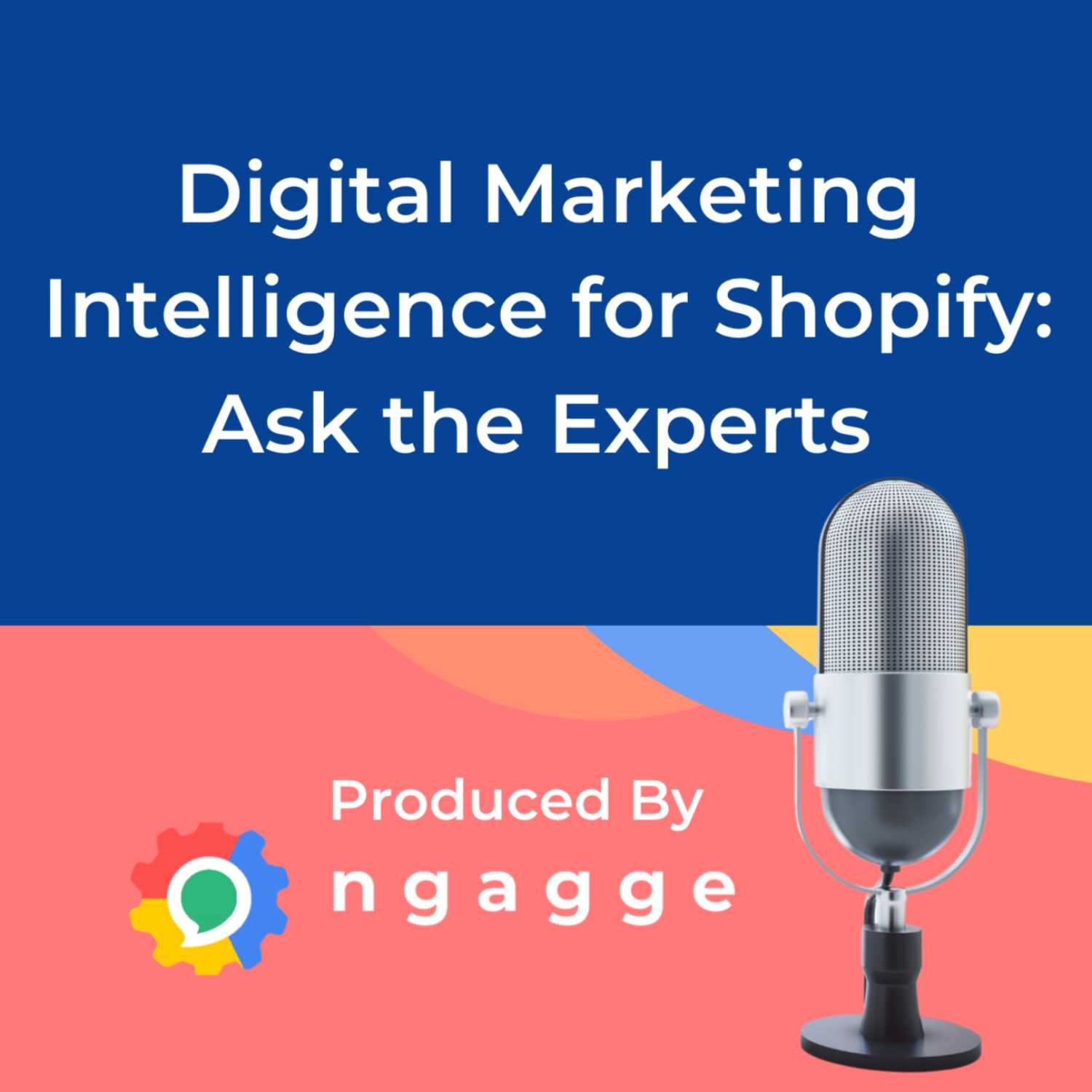 Digital Marketing Intelligence for Shopify: Ask the Experts