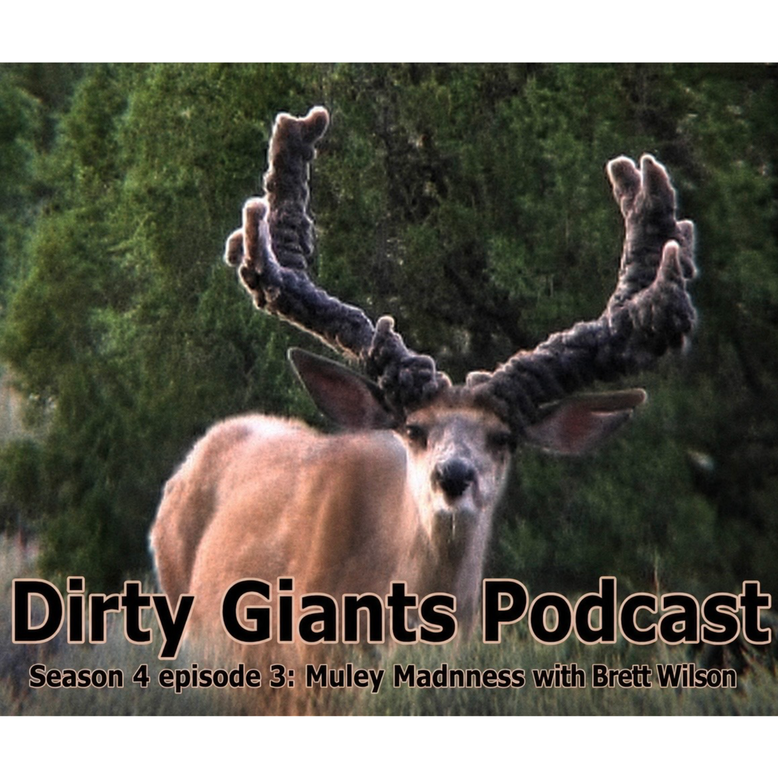 Muley Madness with Brett Wilson