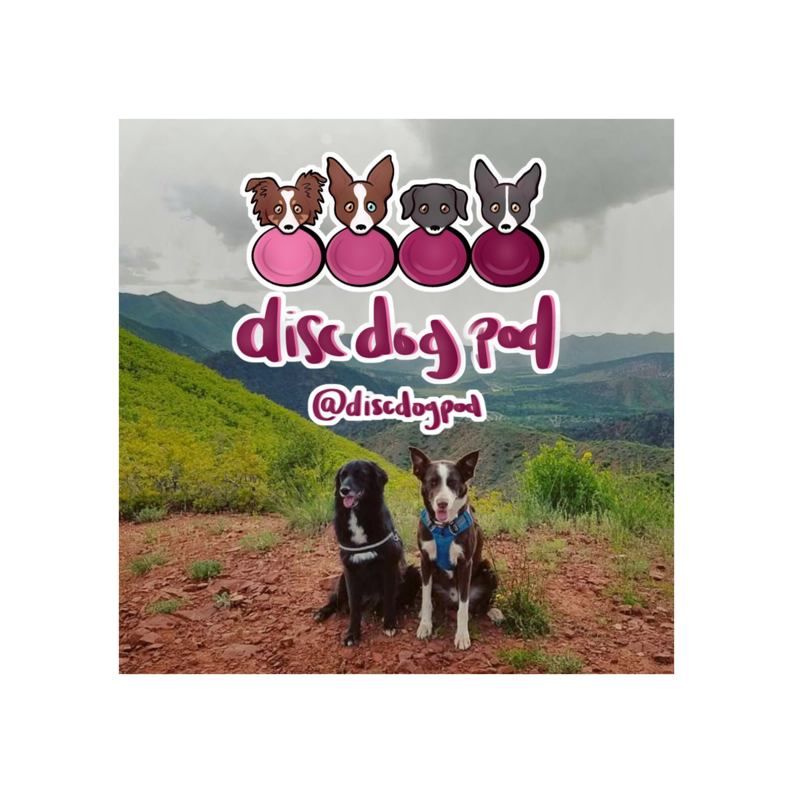 The Evolution of Disc Dog Competitions | Disc Dog Pod Ep. 22 episode artwork