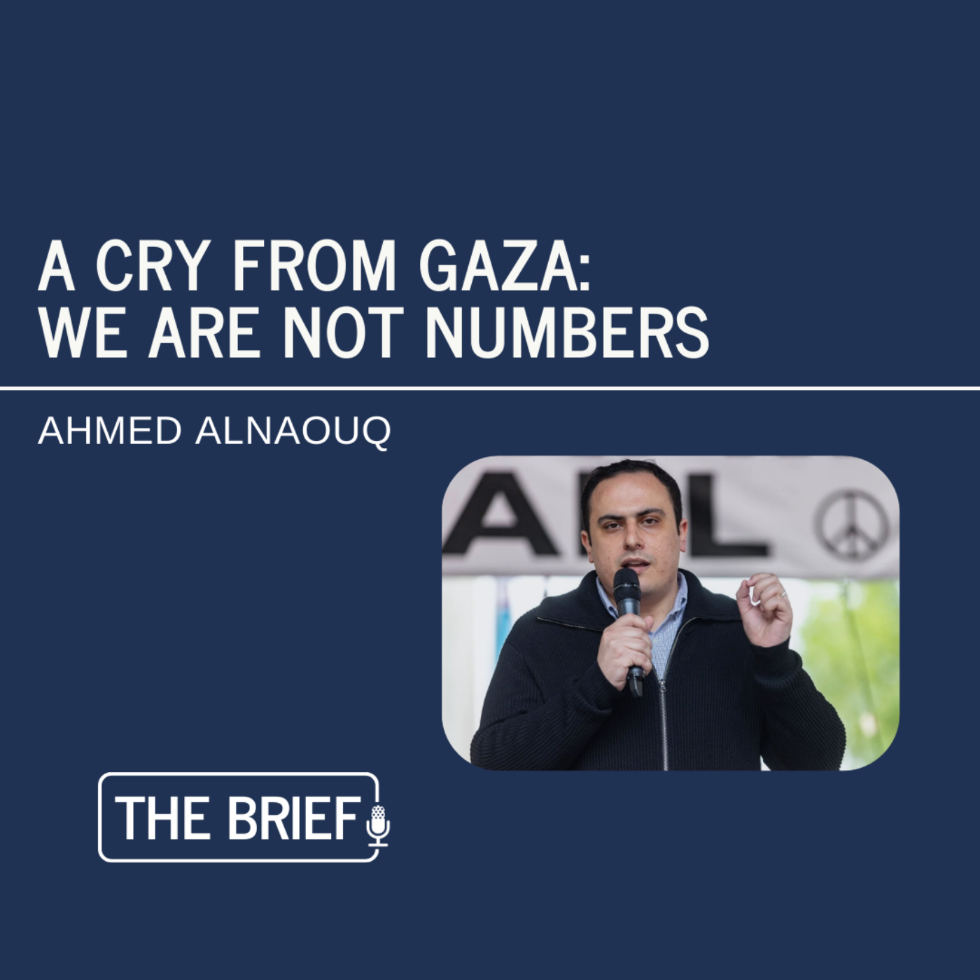The Brief