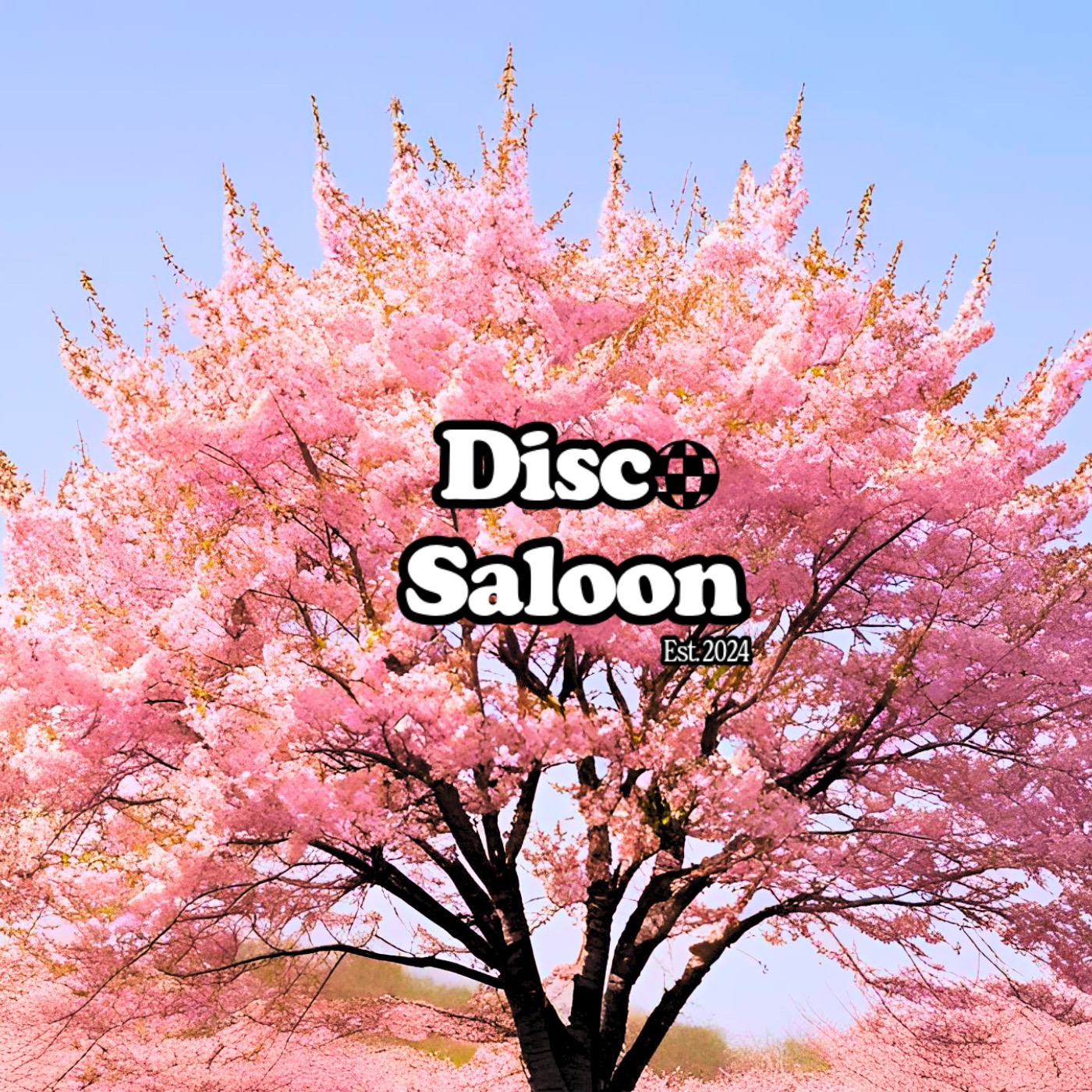 Disco Saloon S3E1 - A Rocky Start