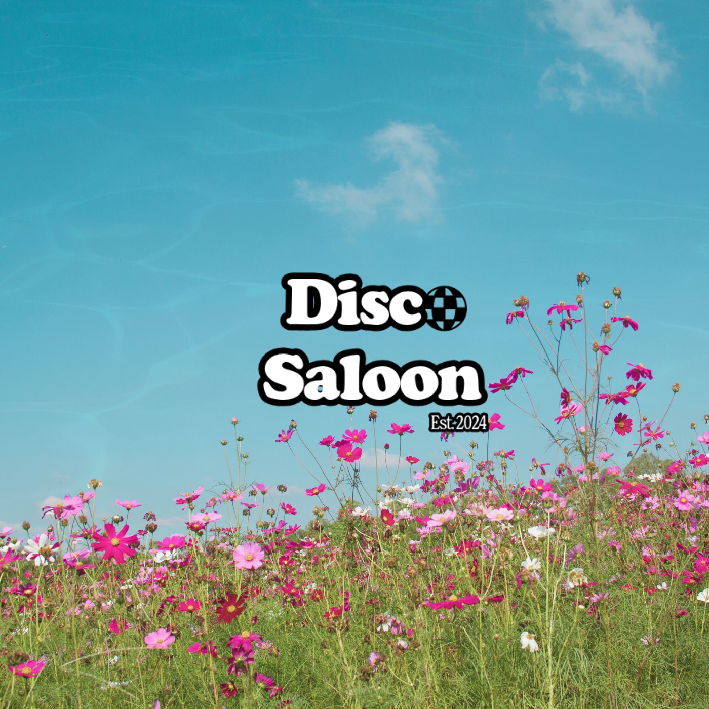 Disco Saloon S3 E5 - Touching Grass