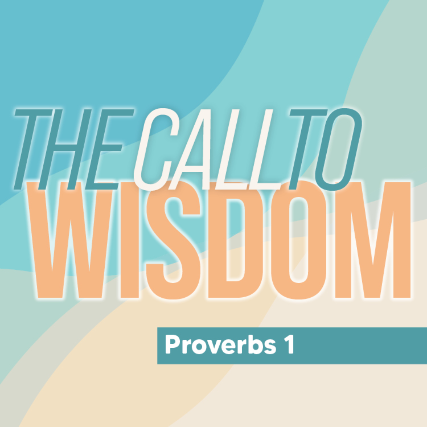 The Call of Wisdom - Proverbs 1 episode artwork