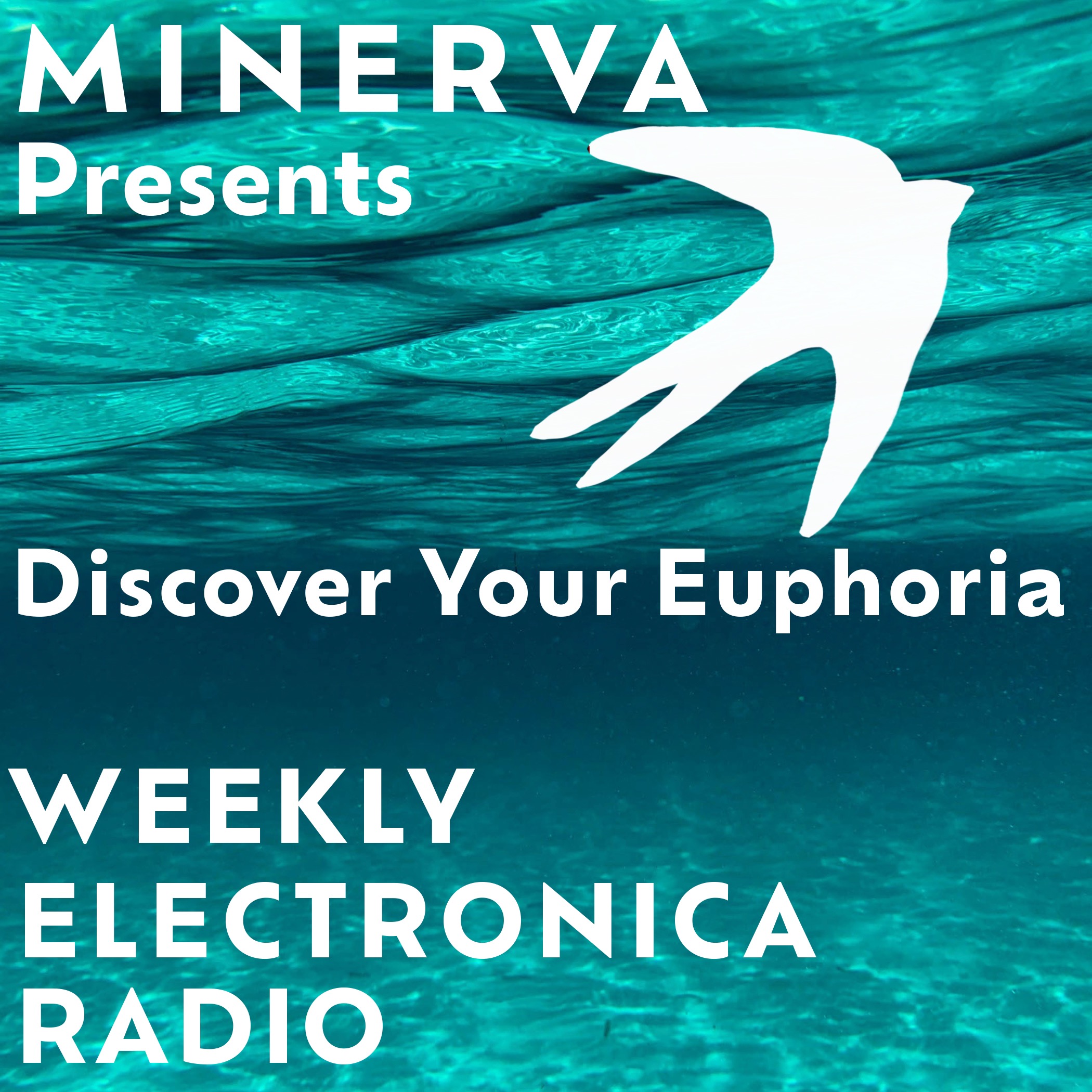 Discover Your Euphoria