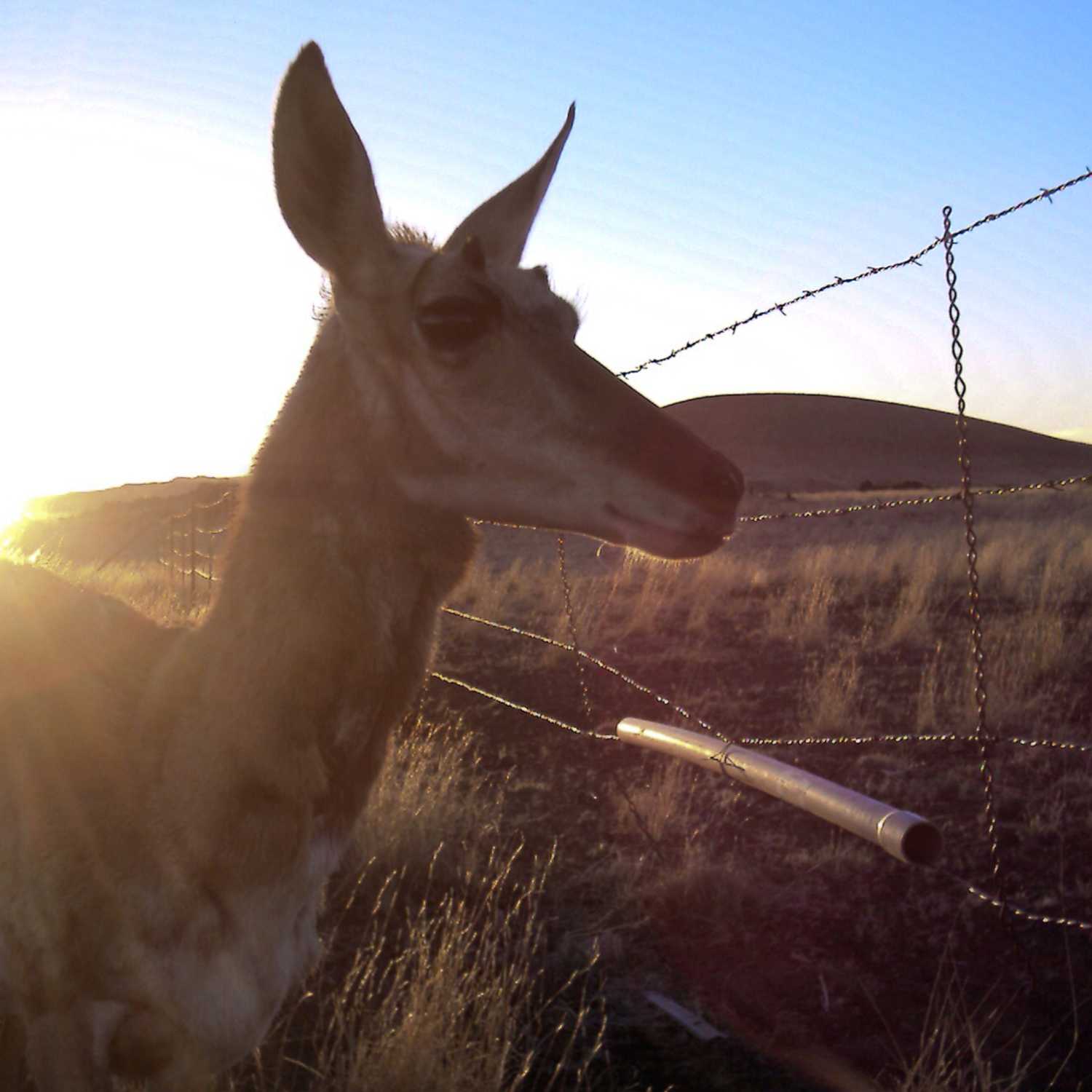 Discovery with Babbitt Ranches