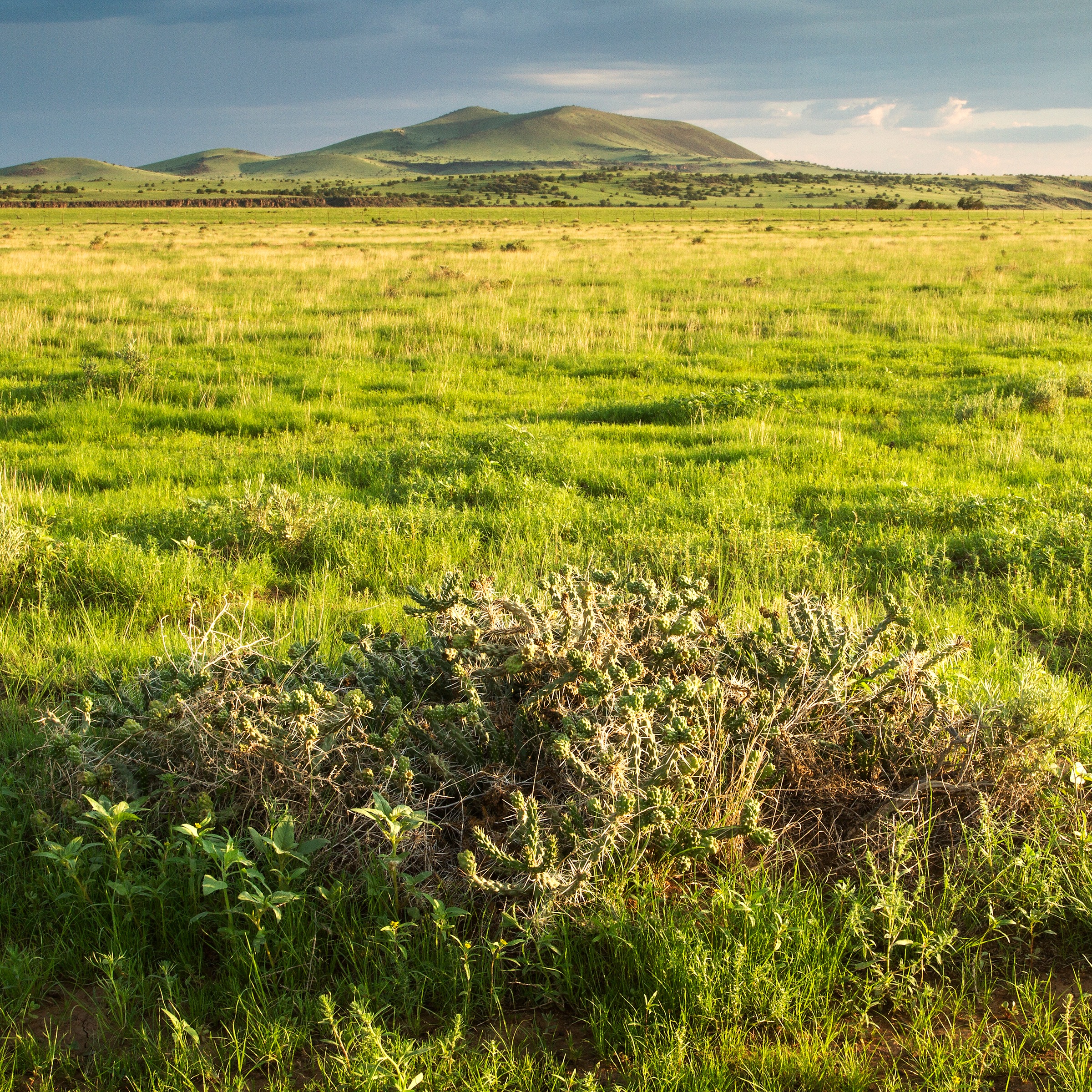 Discovery with Babbitt Ranches
