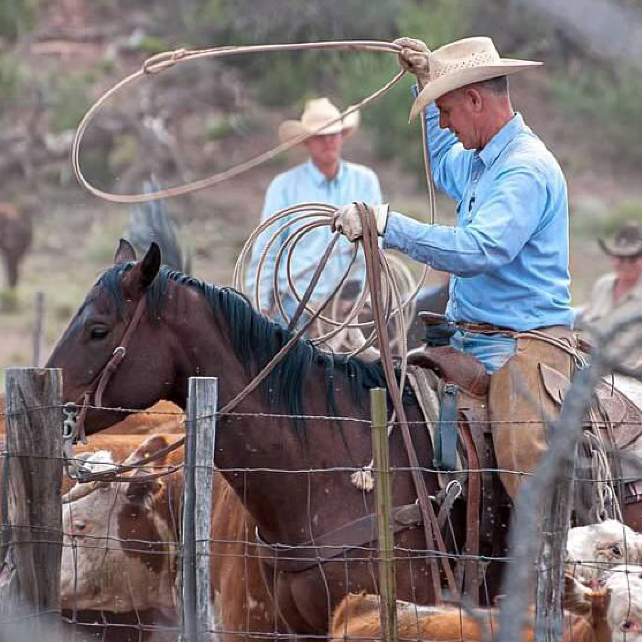 Discovery with Babbitt Ranches
