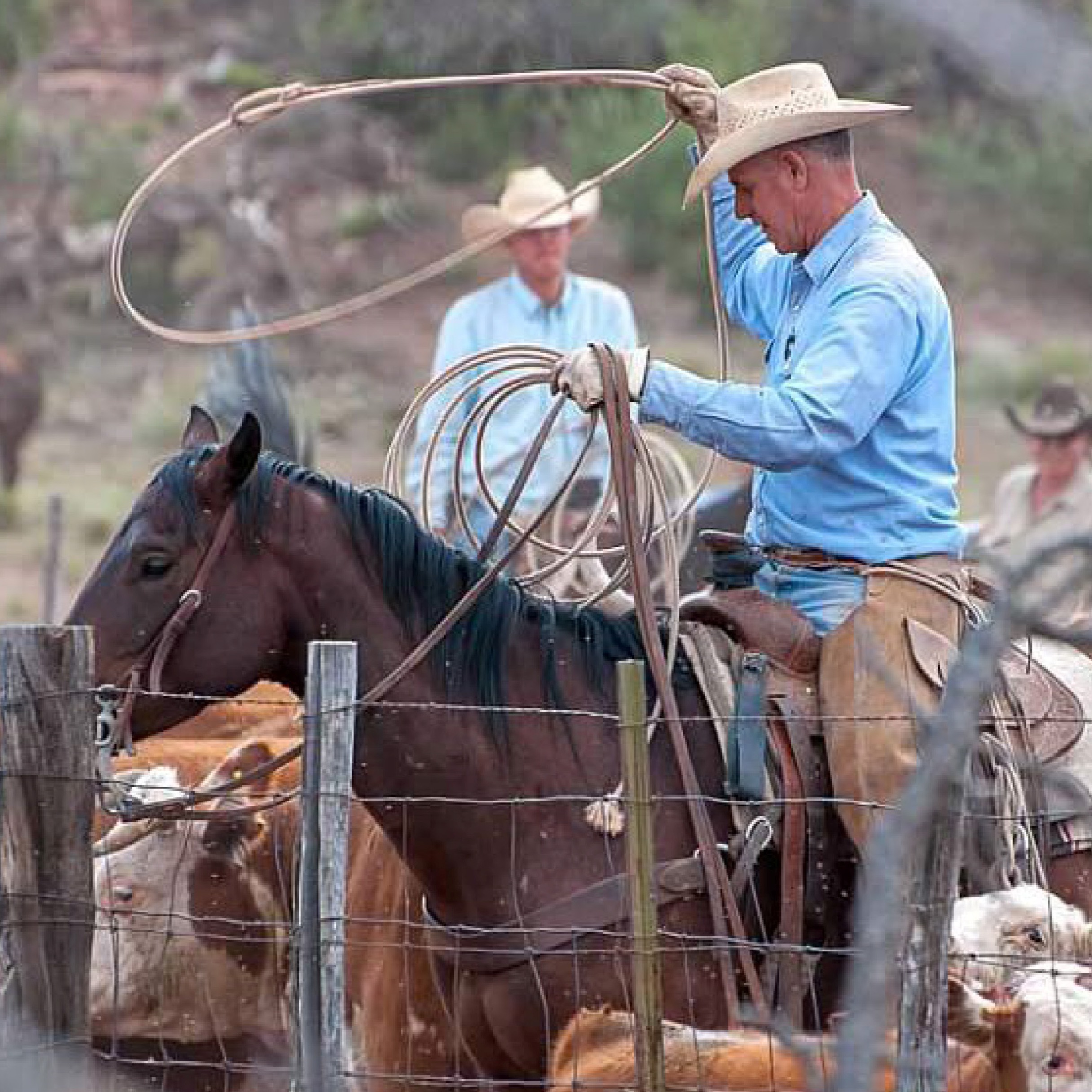 Discovery with Babbitt Ranches
