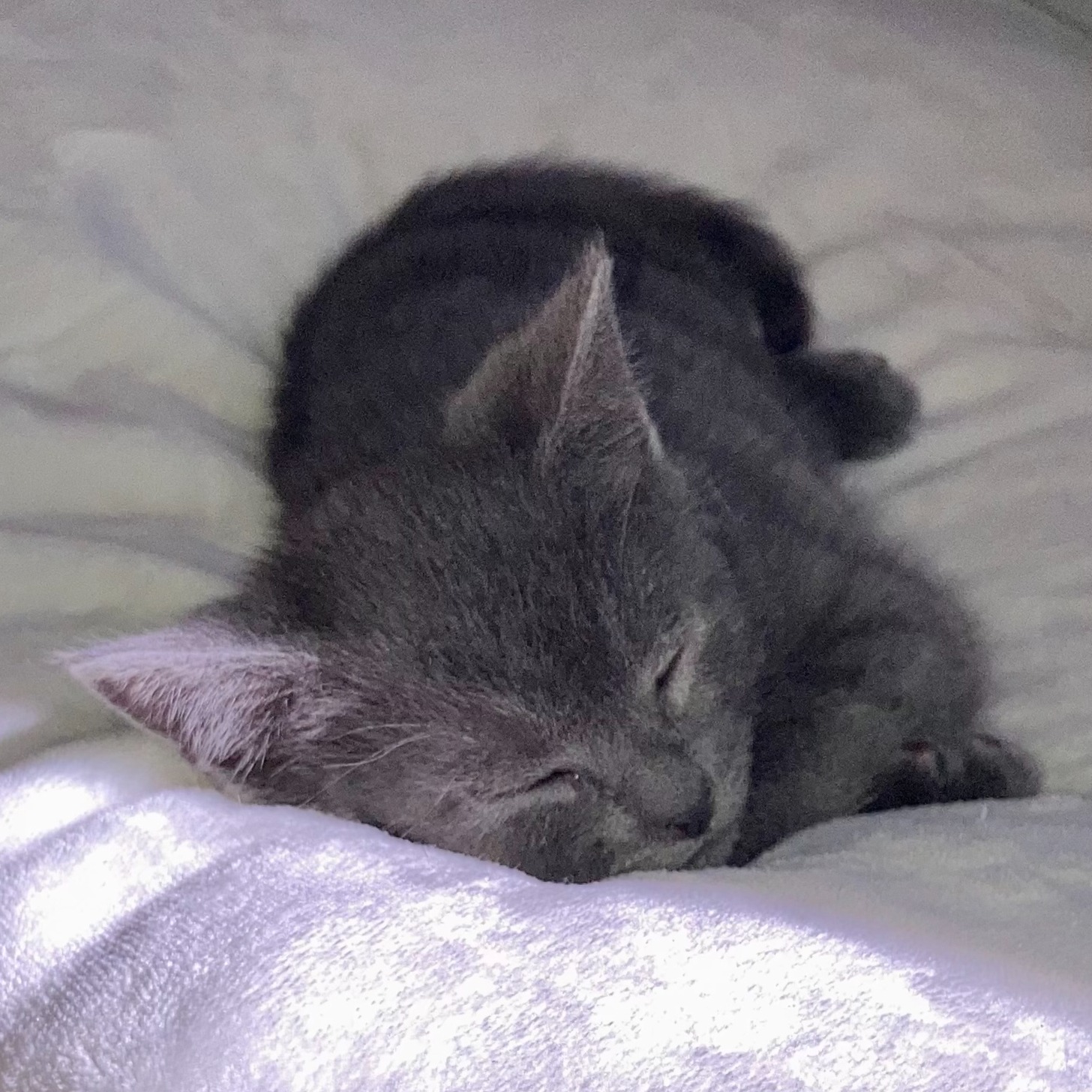 distant train sounds