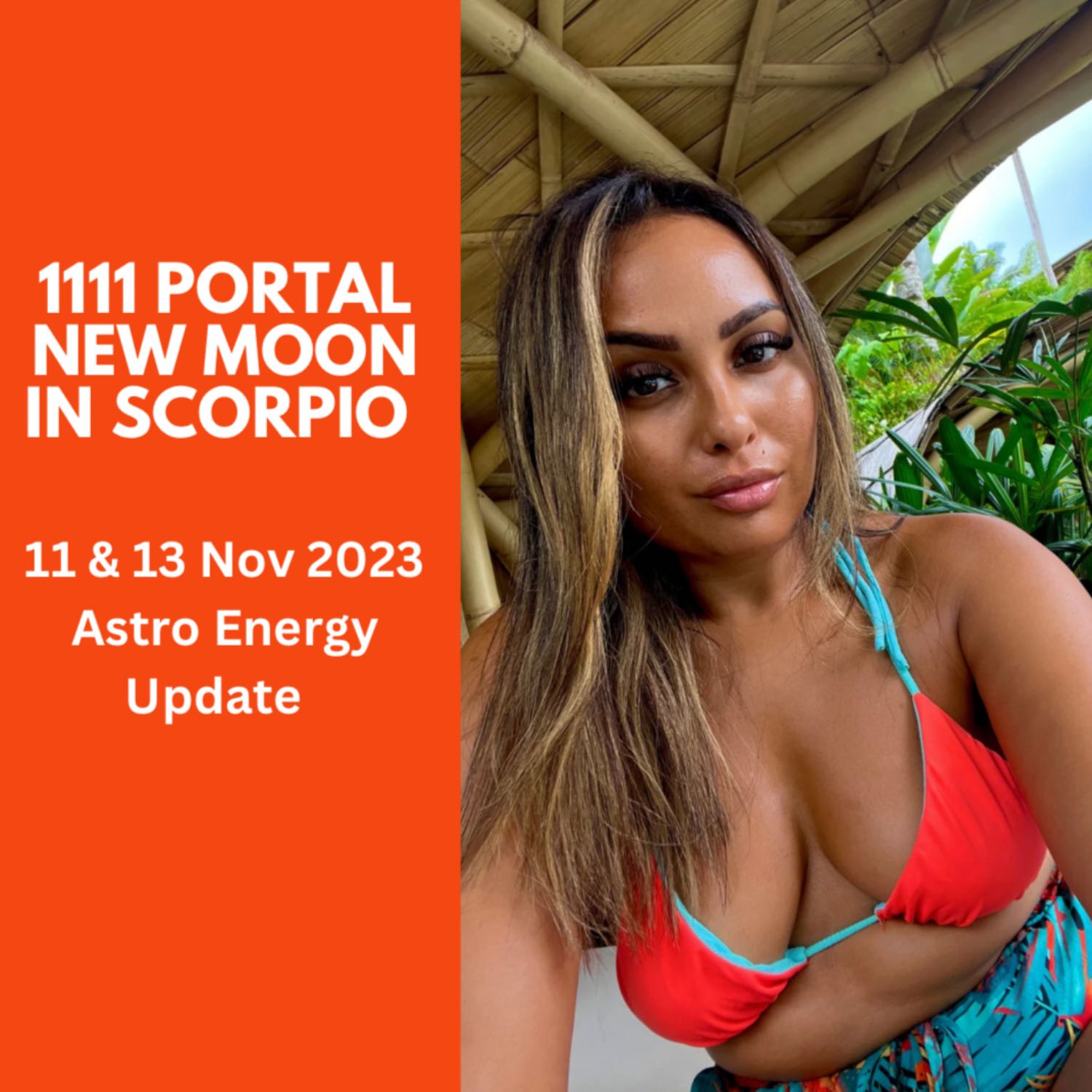 11/11 Portal & Scorpio New Moon “New Timeline, Manifesting with the New You”