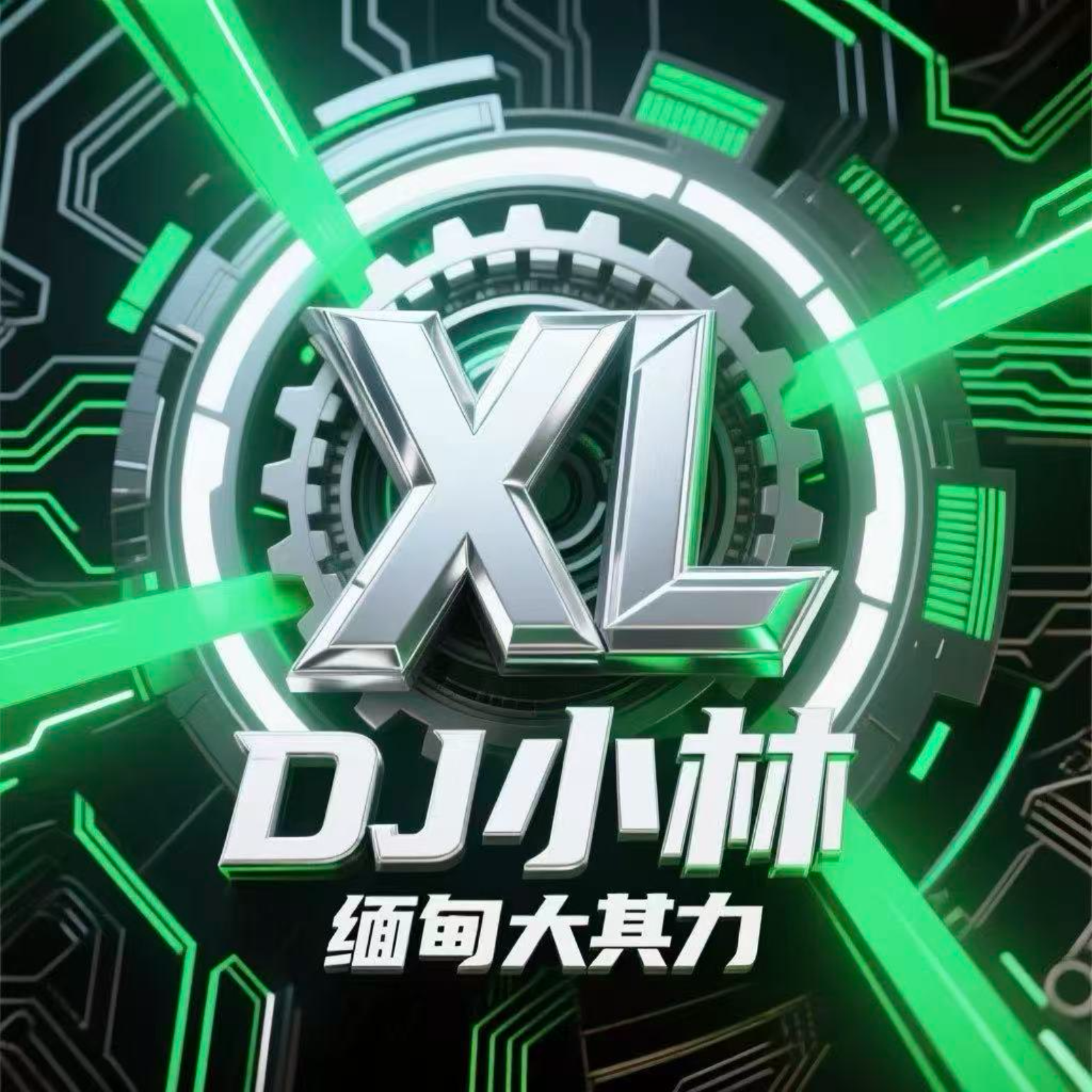 缅甸DJ小林串烧专辑