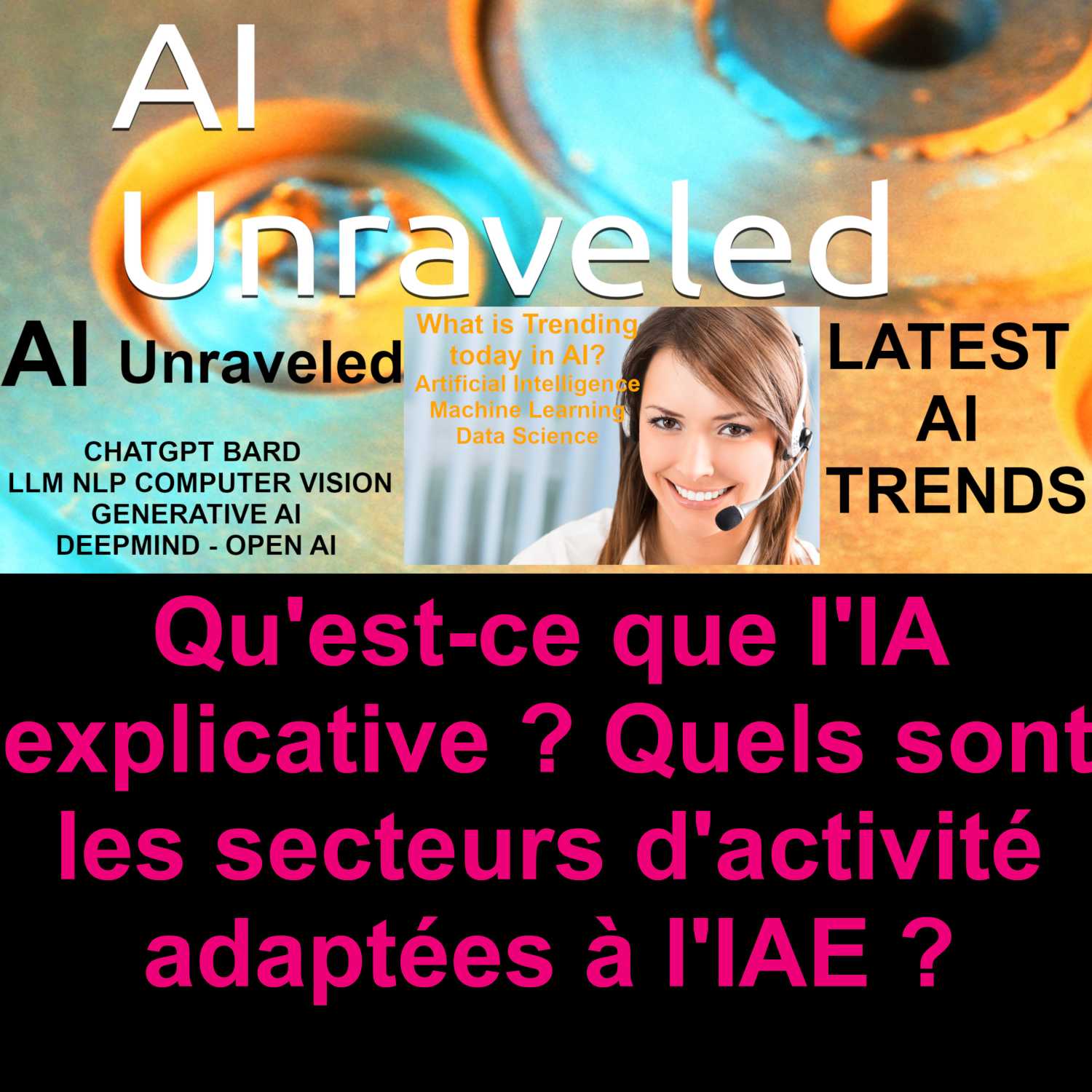 Qu'est-ce que l'IA explicative ? Quels sont les secteurs d'activité adaptées à l'IAE ?