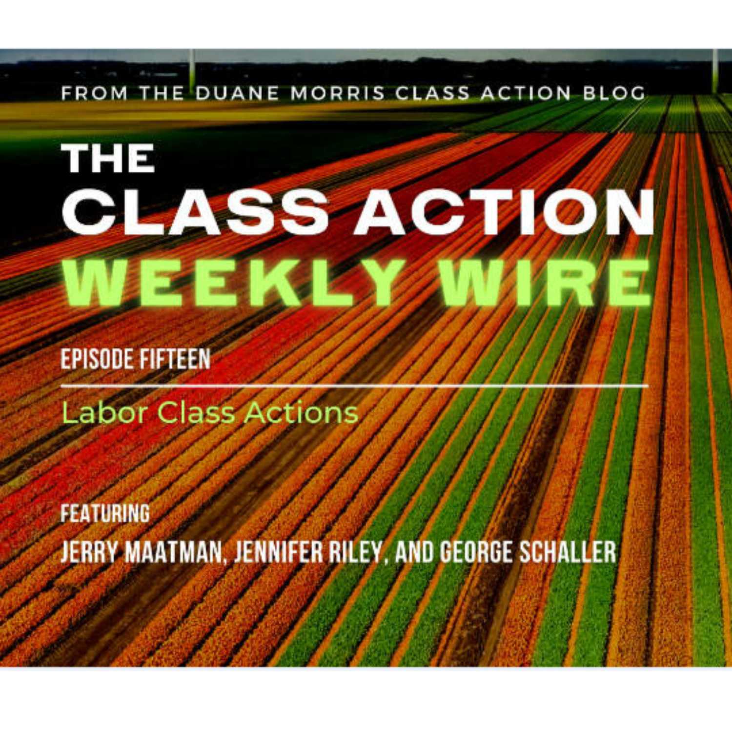 The Class Action Weekly Wire