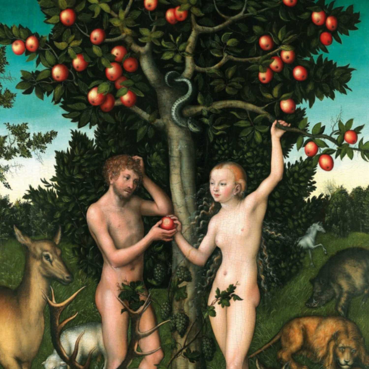 The Dark Matter Myth Podcast