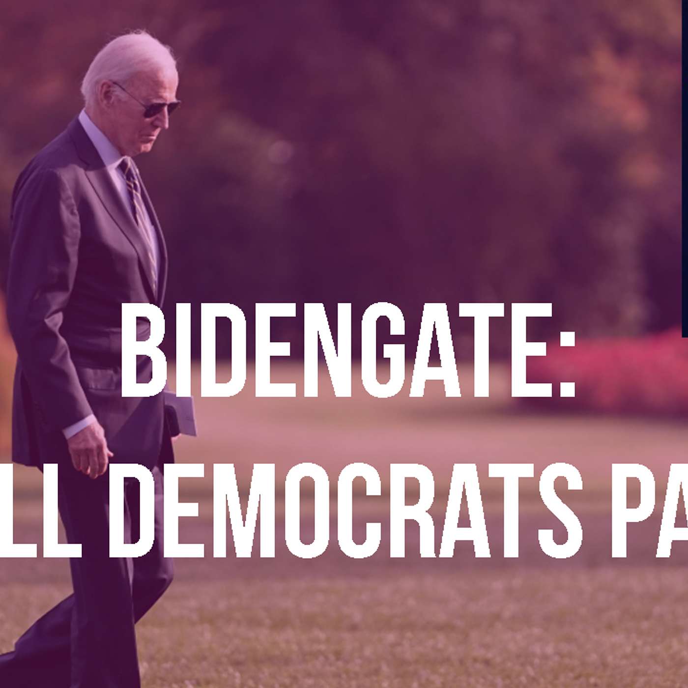 DMZ America Podcast Ep 205: “Will Dems Pay for BidenGate?” episode artwork