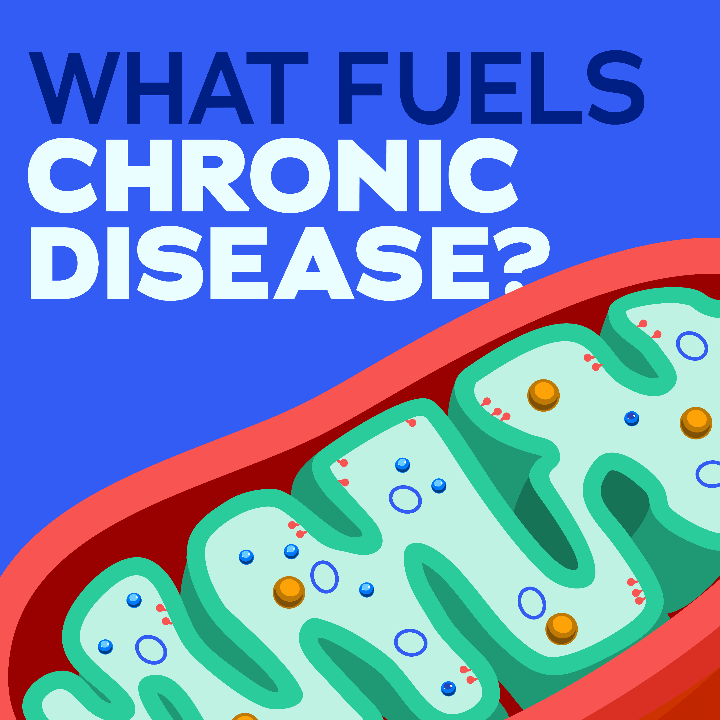 Docology: What Fuels Chronic Disease?