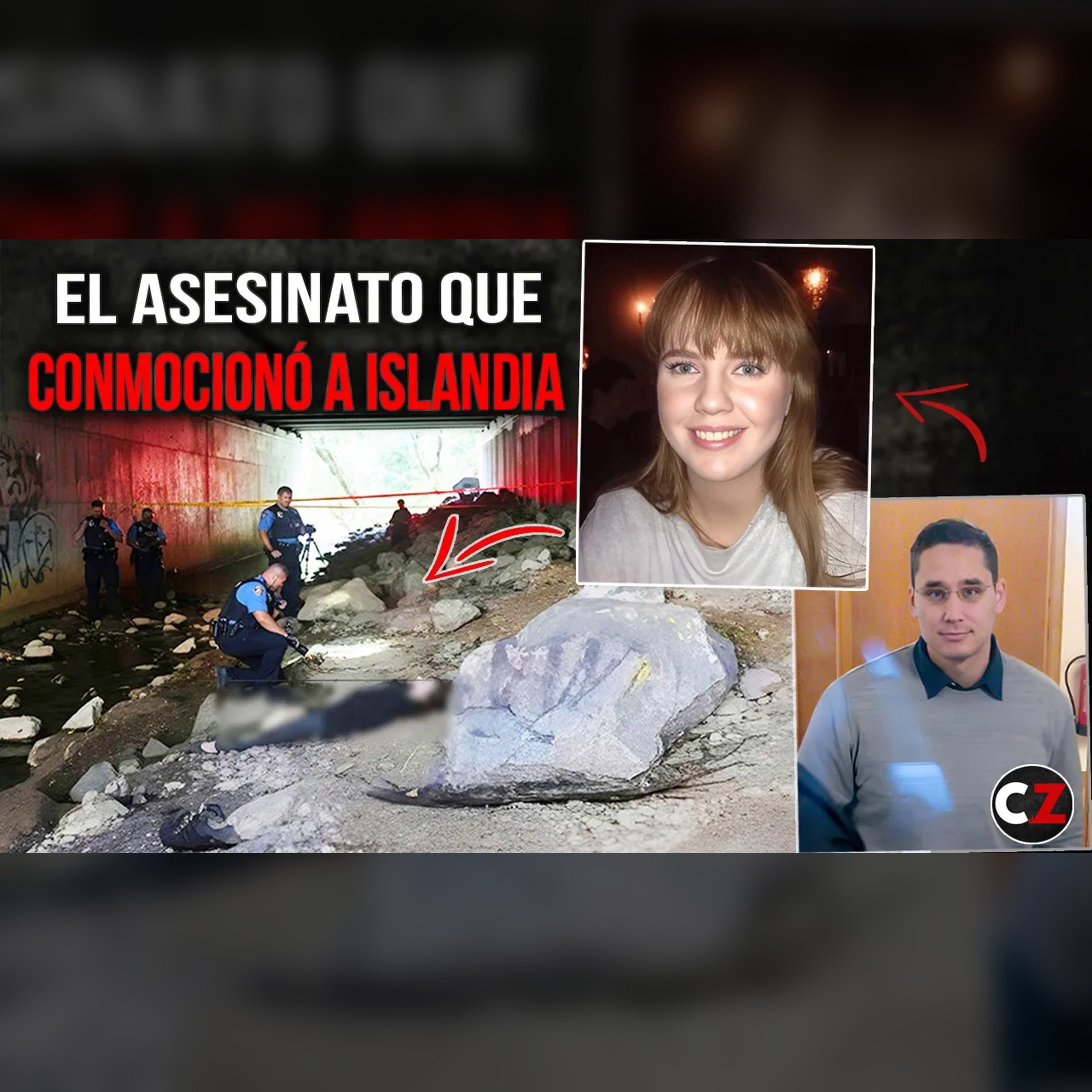 Asesinato de Birna: la pesadilla helada de Islandia episode artwork