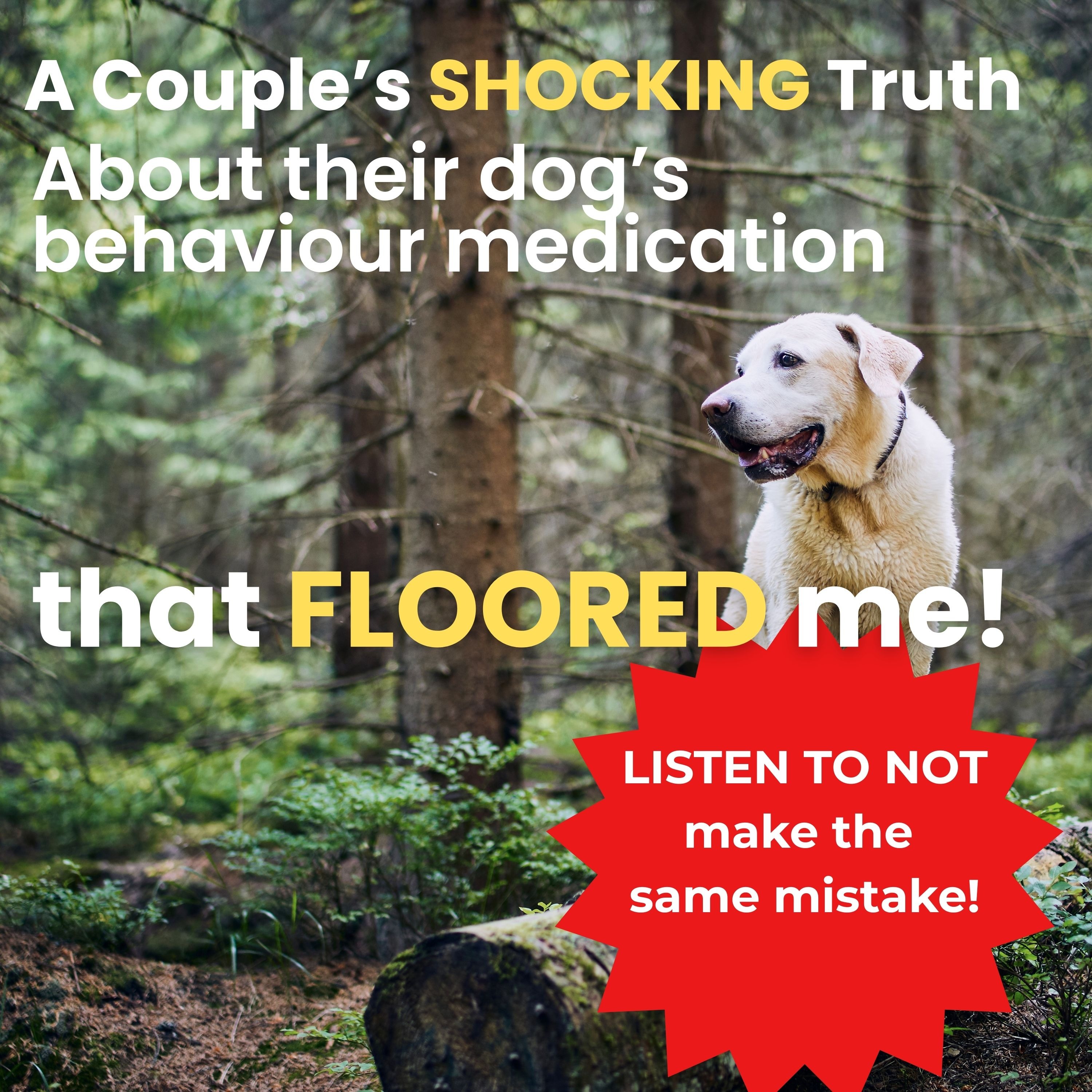 The Dog Parentology Podcast