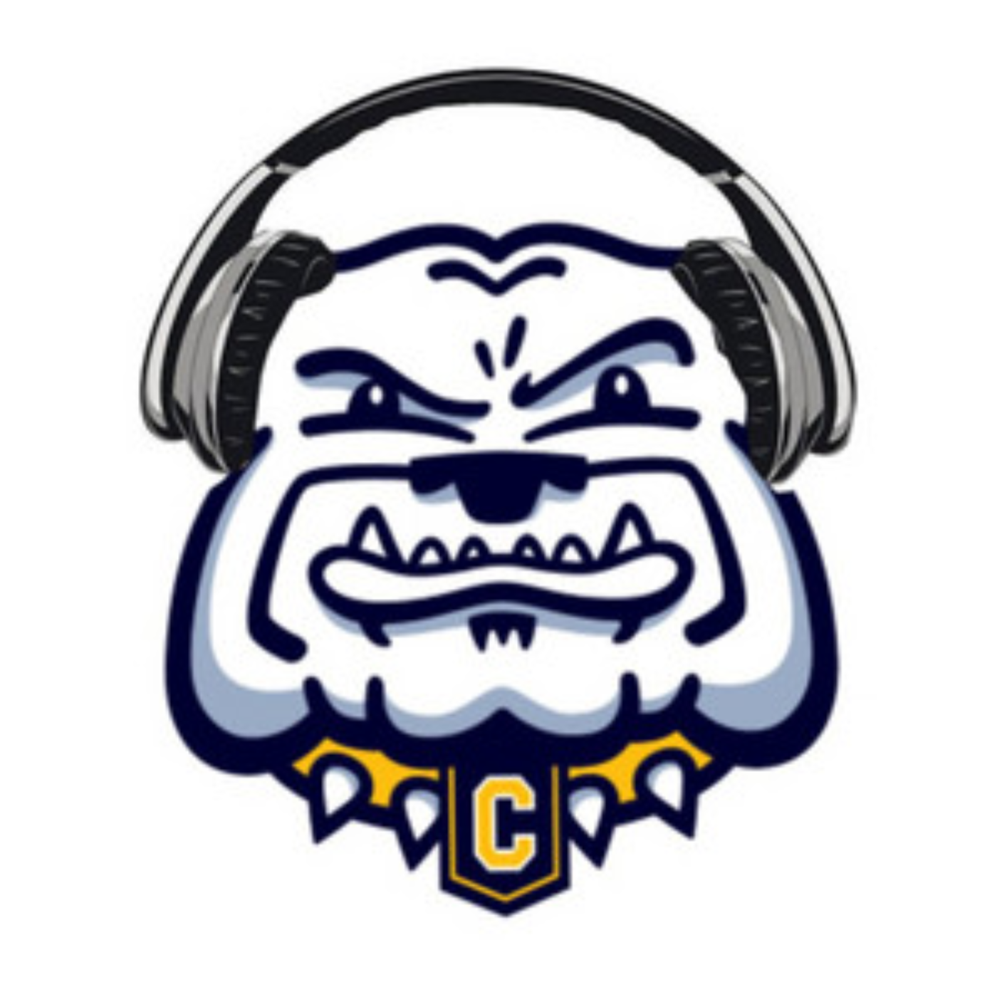 Dog Speak: Sports at CHS