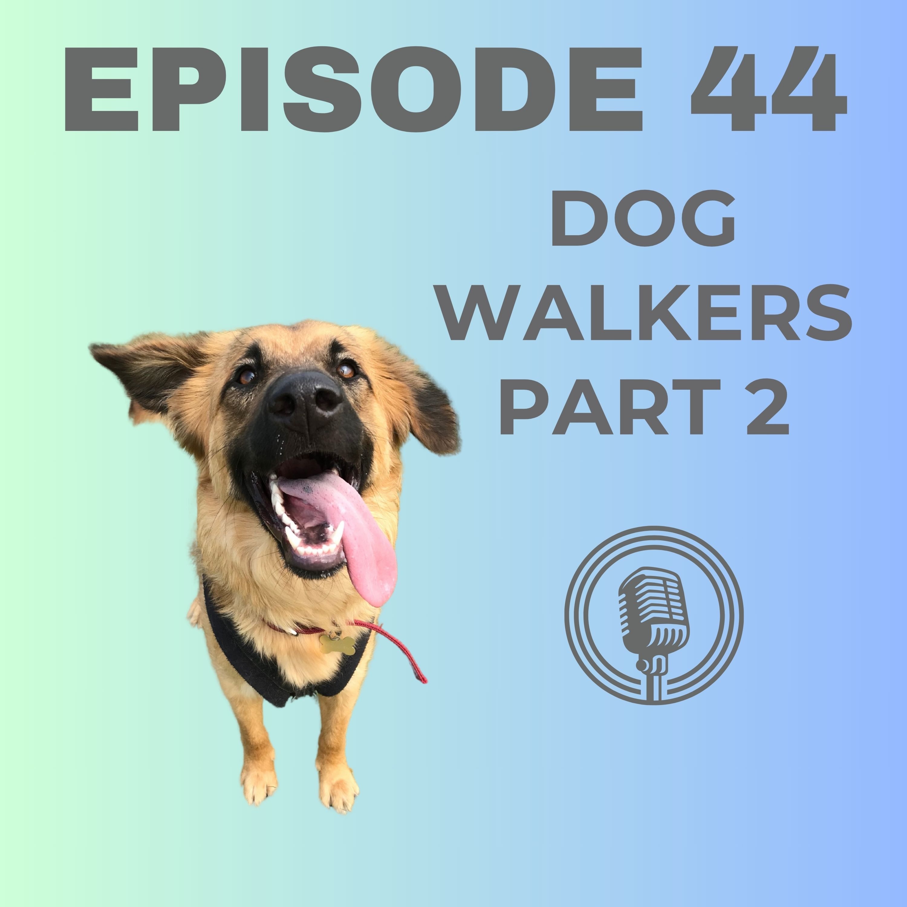 Dog Gone Wrong