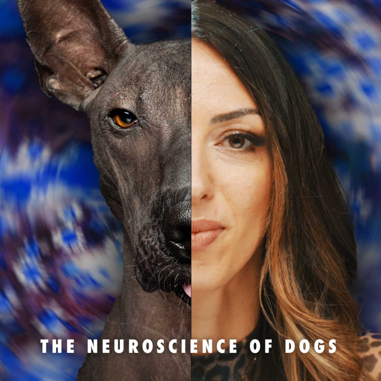 The Dog Scholar