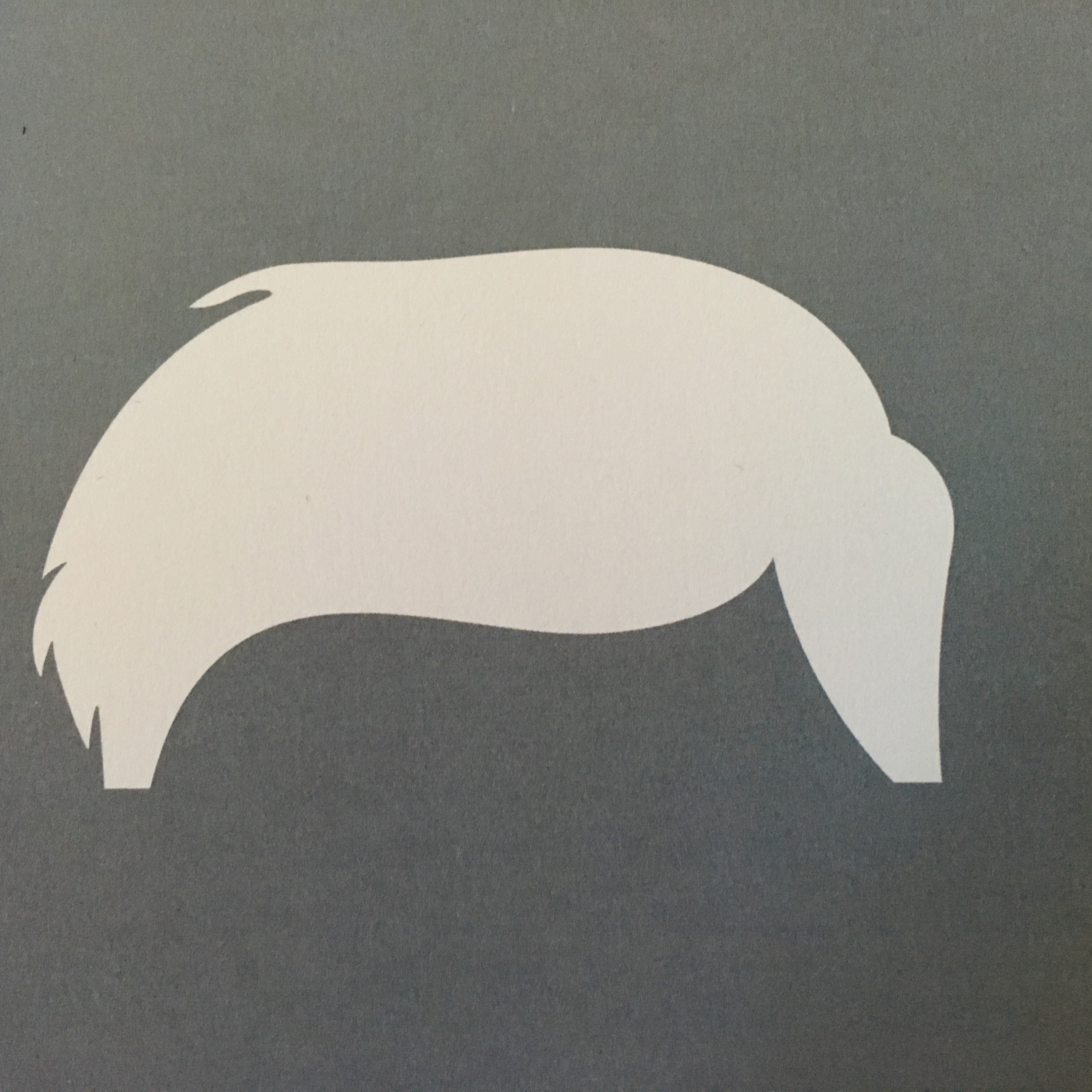 Don Alhart's Bright Spots