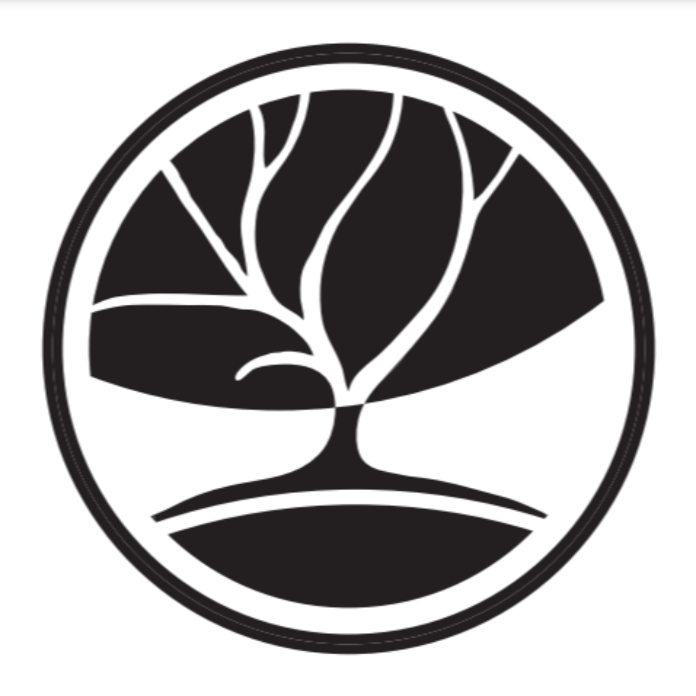 Don't Forget Your Roots