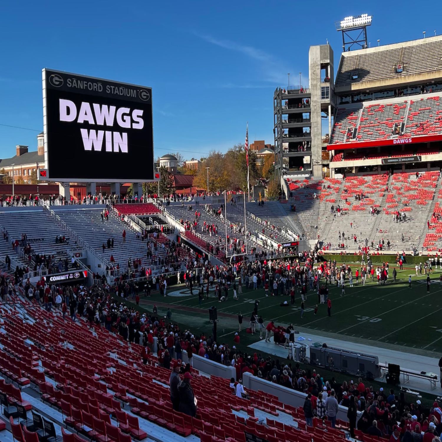 Dooley's Dawg Pod