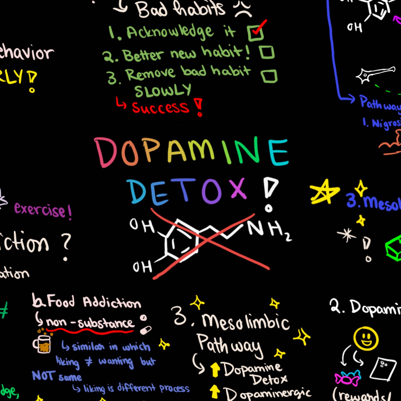 Dopamine Detox Neuropharmacology Final Project