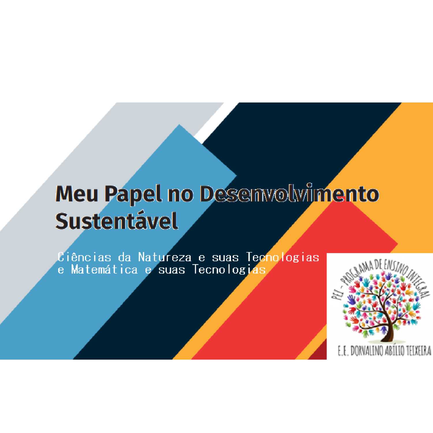 PEI DORVALINO ABÍLIO TEIXEIRA - MEU PAPEL NO DESENVOLVIMENTO SUSTENTÁVEL