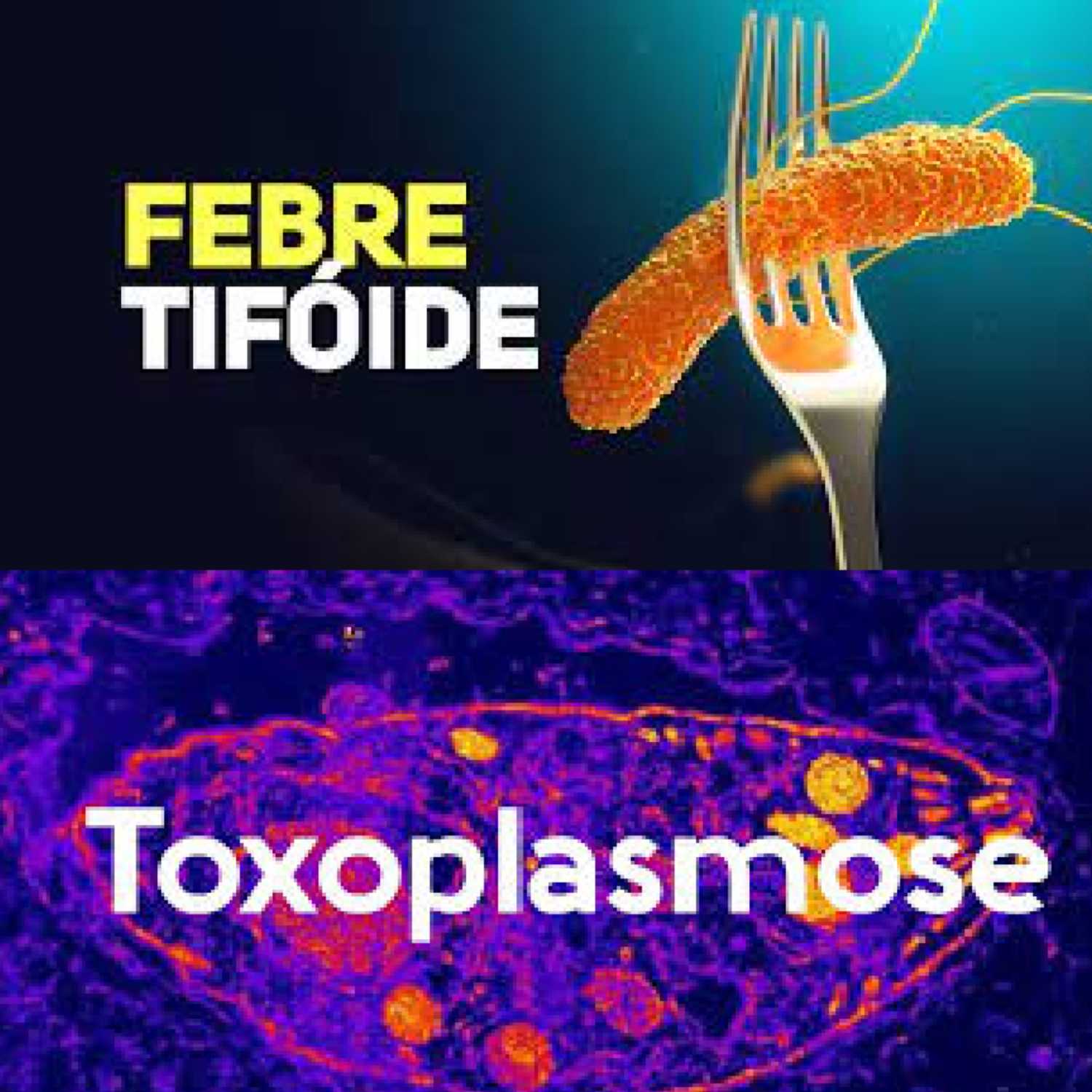 Episódio 1 - Febre Tifóide e Toxoplasmose
