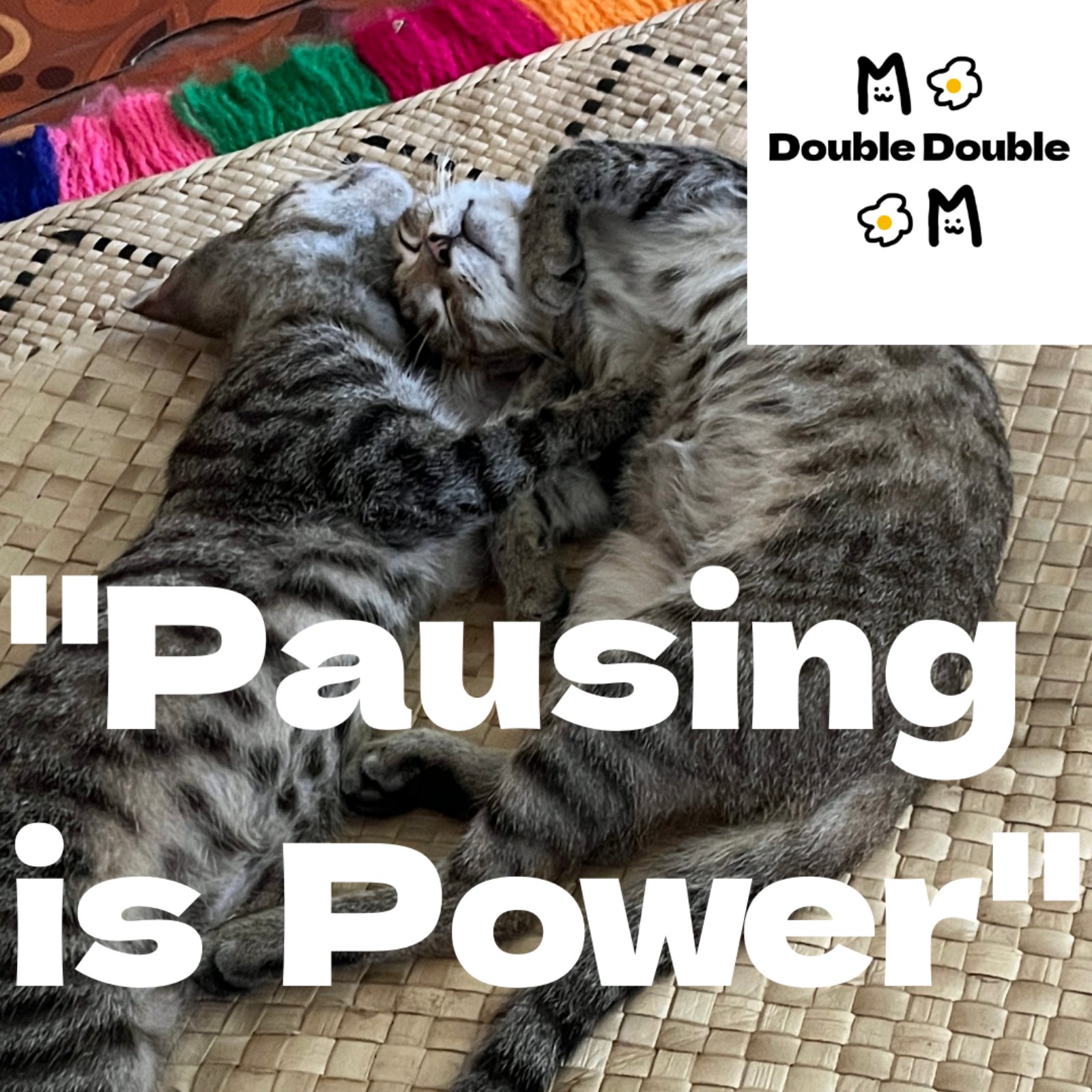 Pausing is Power! Go Take a Nap! episode artwork