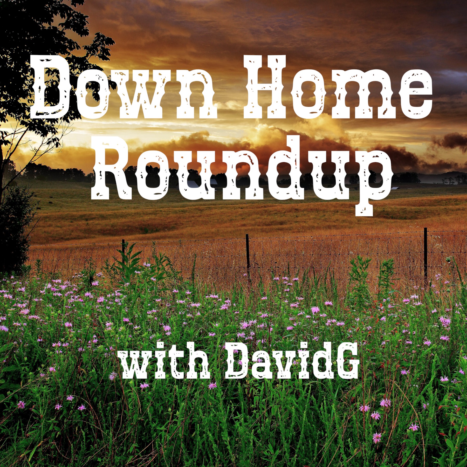 Down Home Roundup cover art