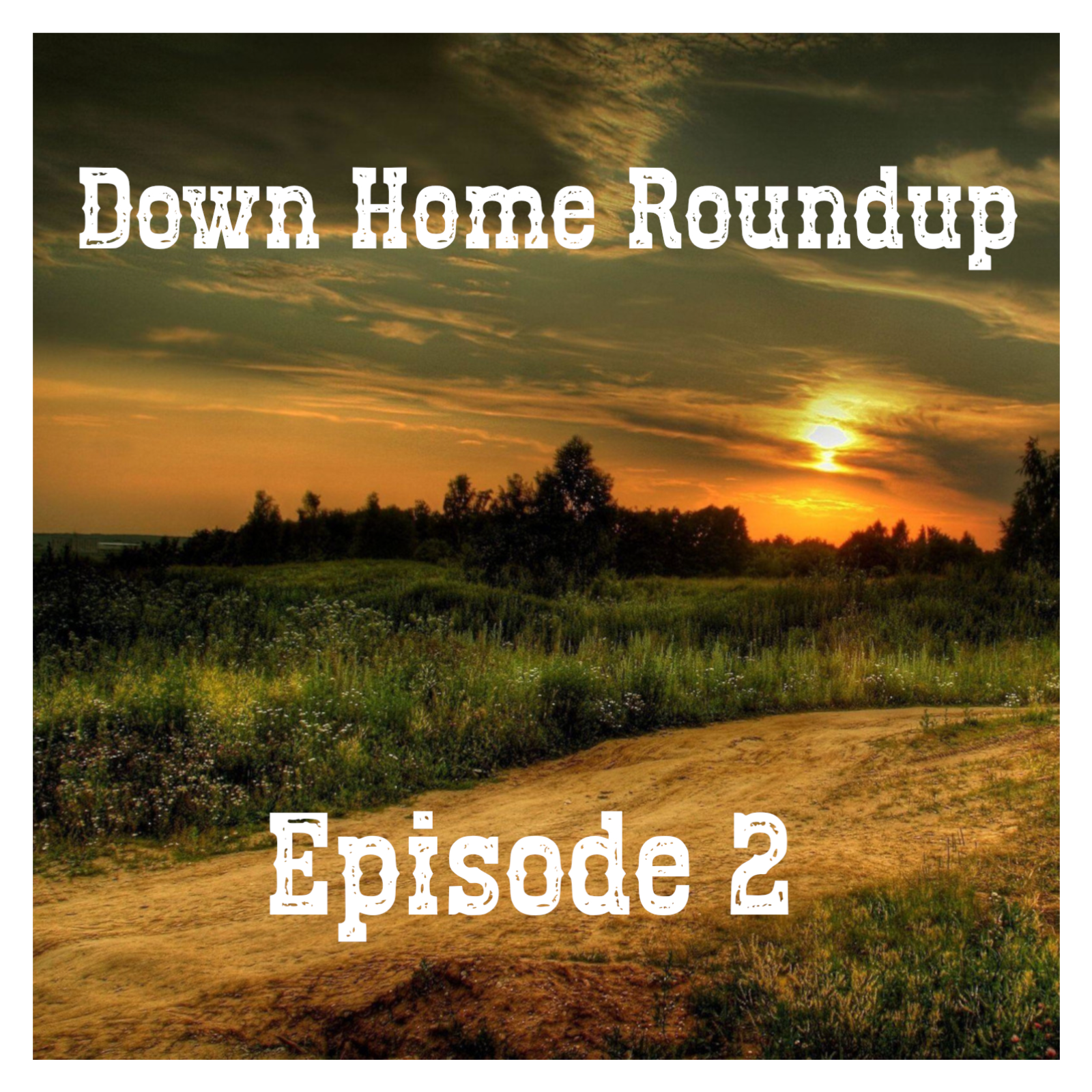 Down Home Roundup #2 episode artwork