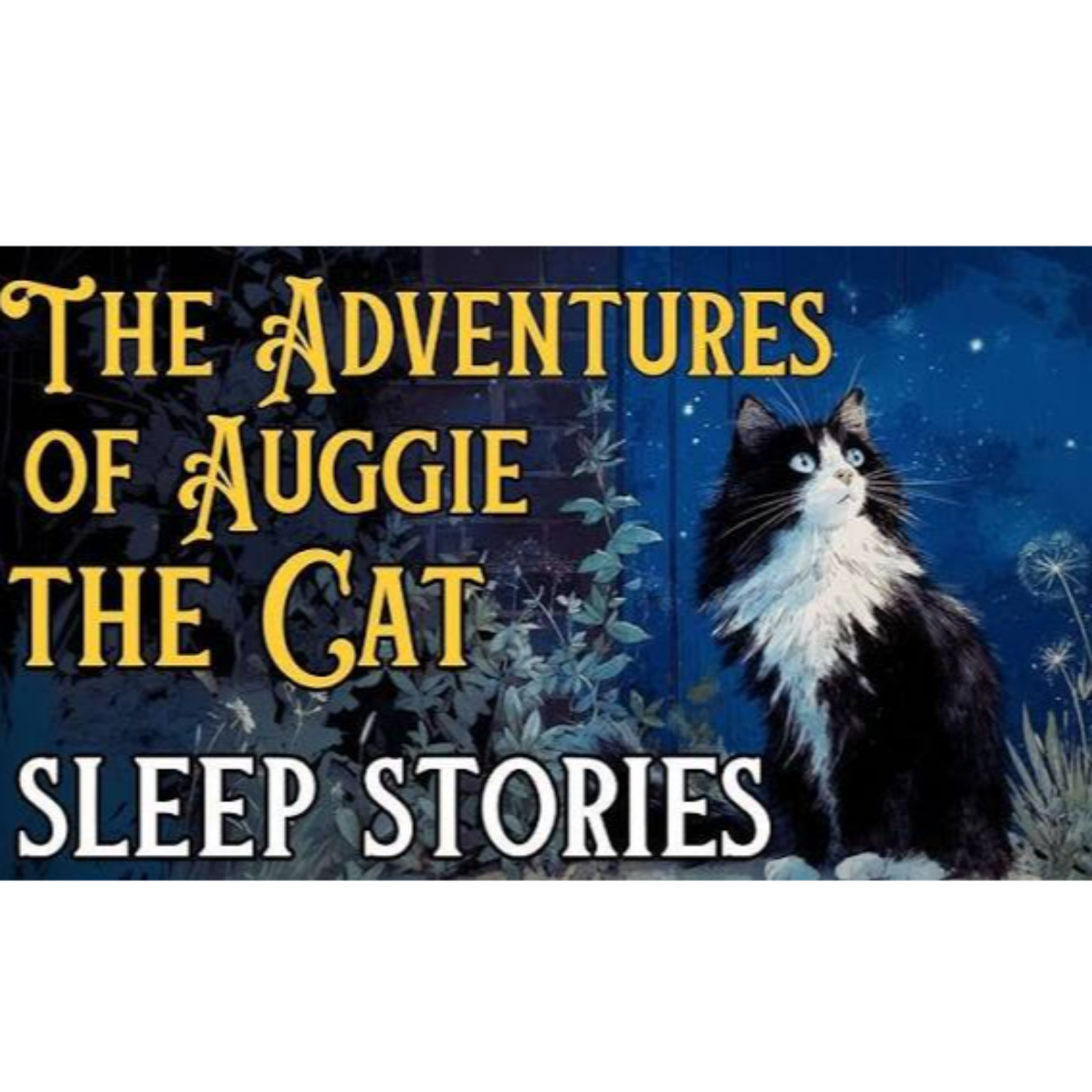 🐱BEST Sleep Stories Compilation_ The Adventures of Auggie the Cat 🐱 Sleepy Cat Stories(MP3_160K) episode artwork