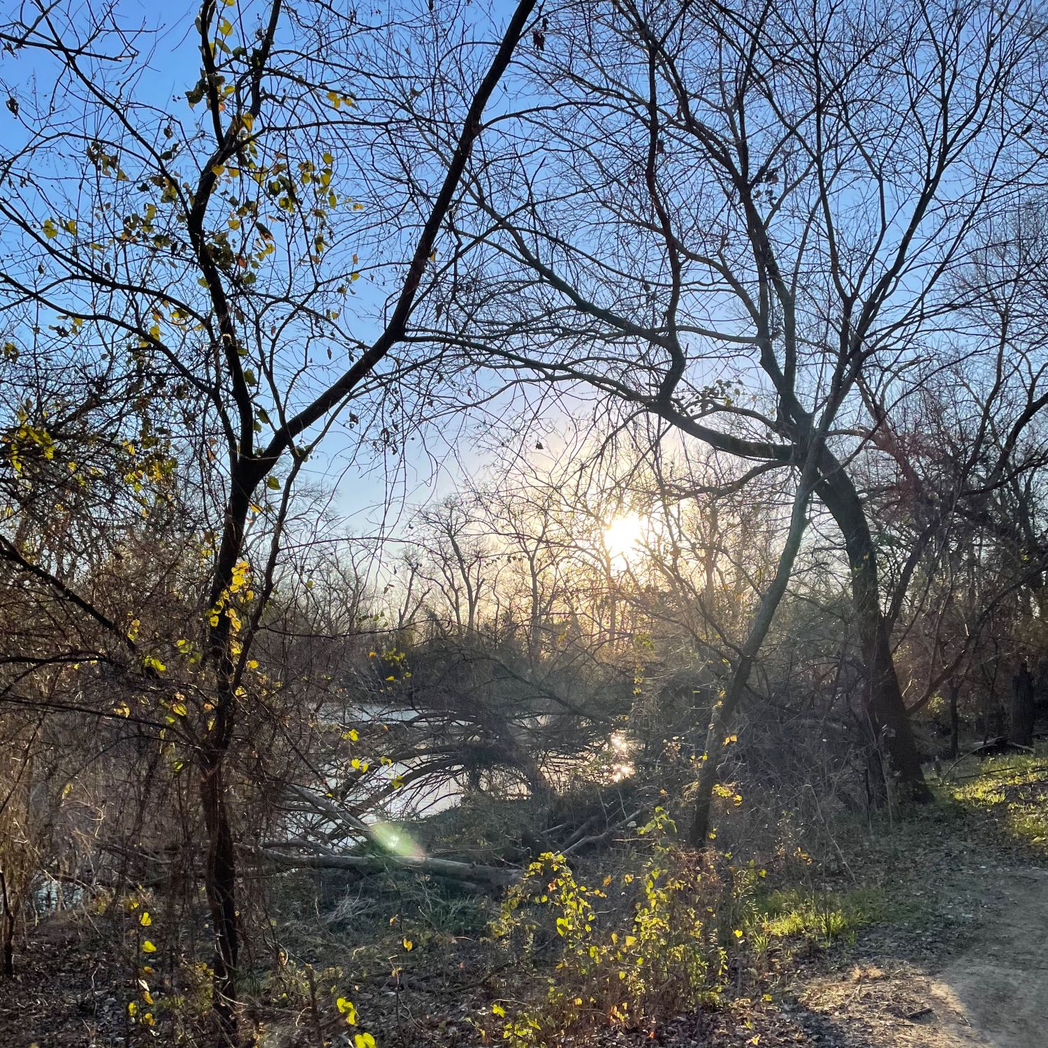 Draegon Grey's Variety Show's Music Moment 