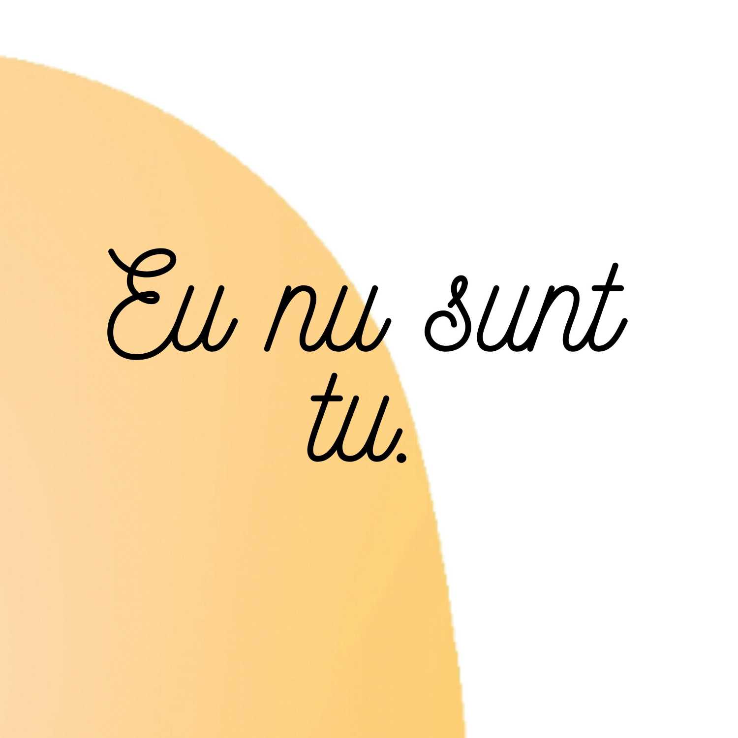 Eu nu sunt tu episode artwork