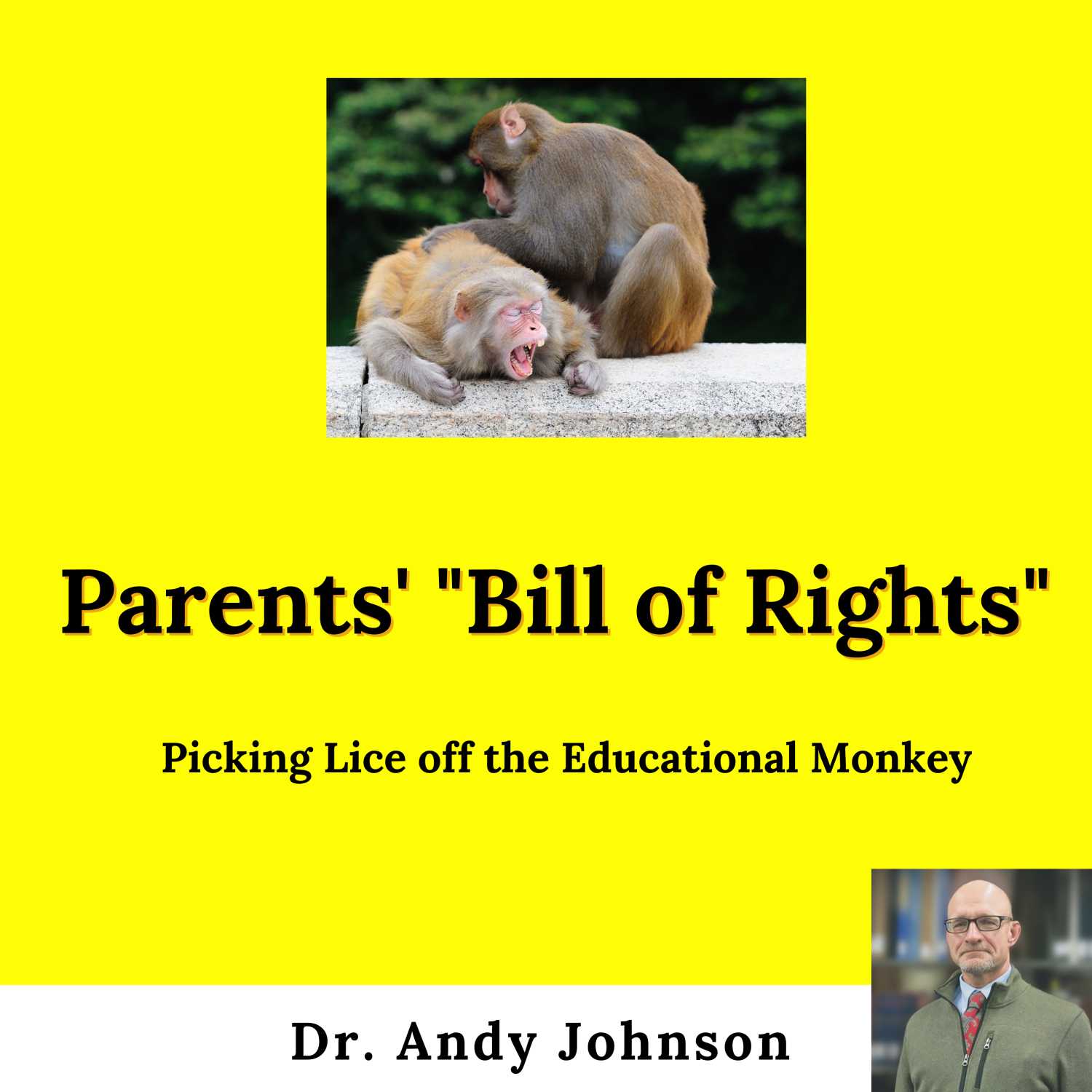 The Reading Instruction Show