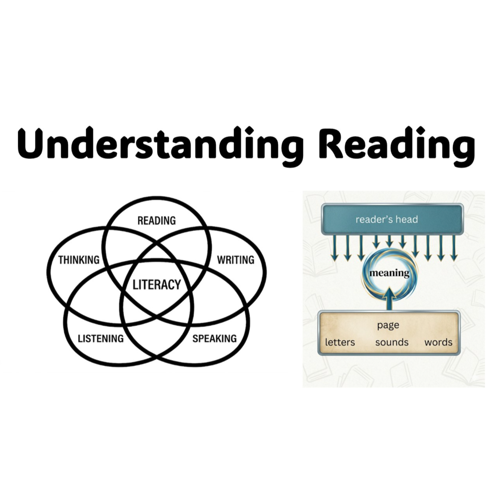 Understanding Reading
