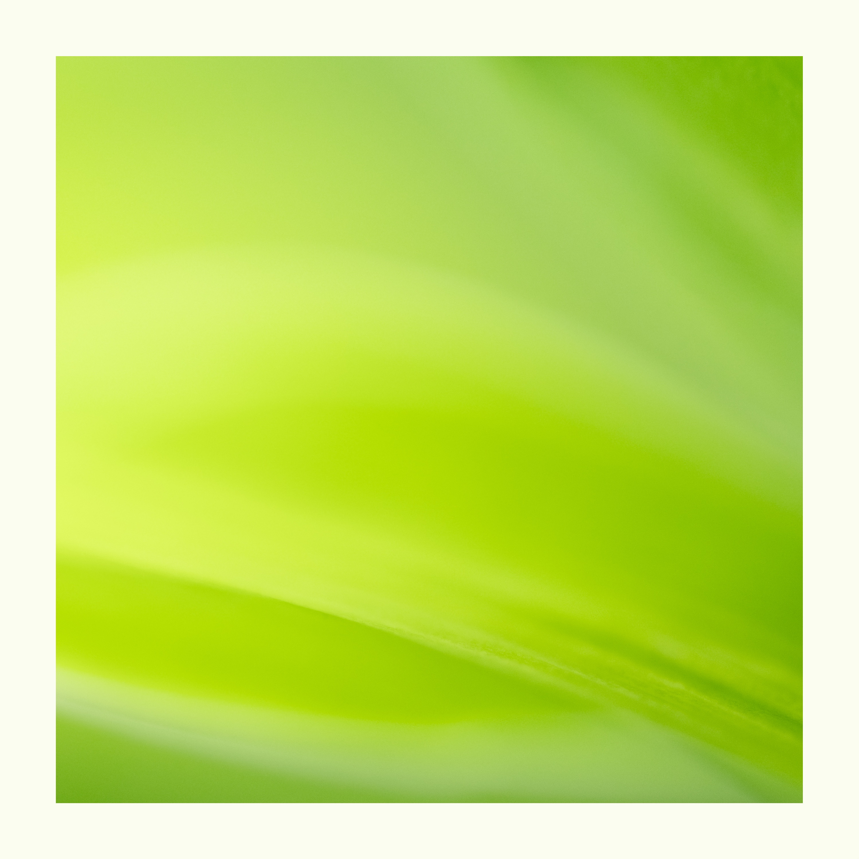 10 Hours of Deep Warm Green Noise episode artwork
