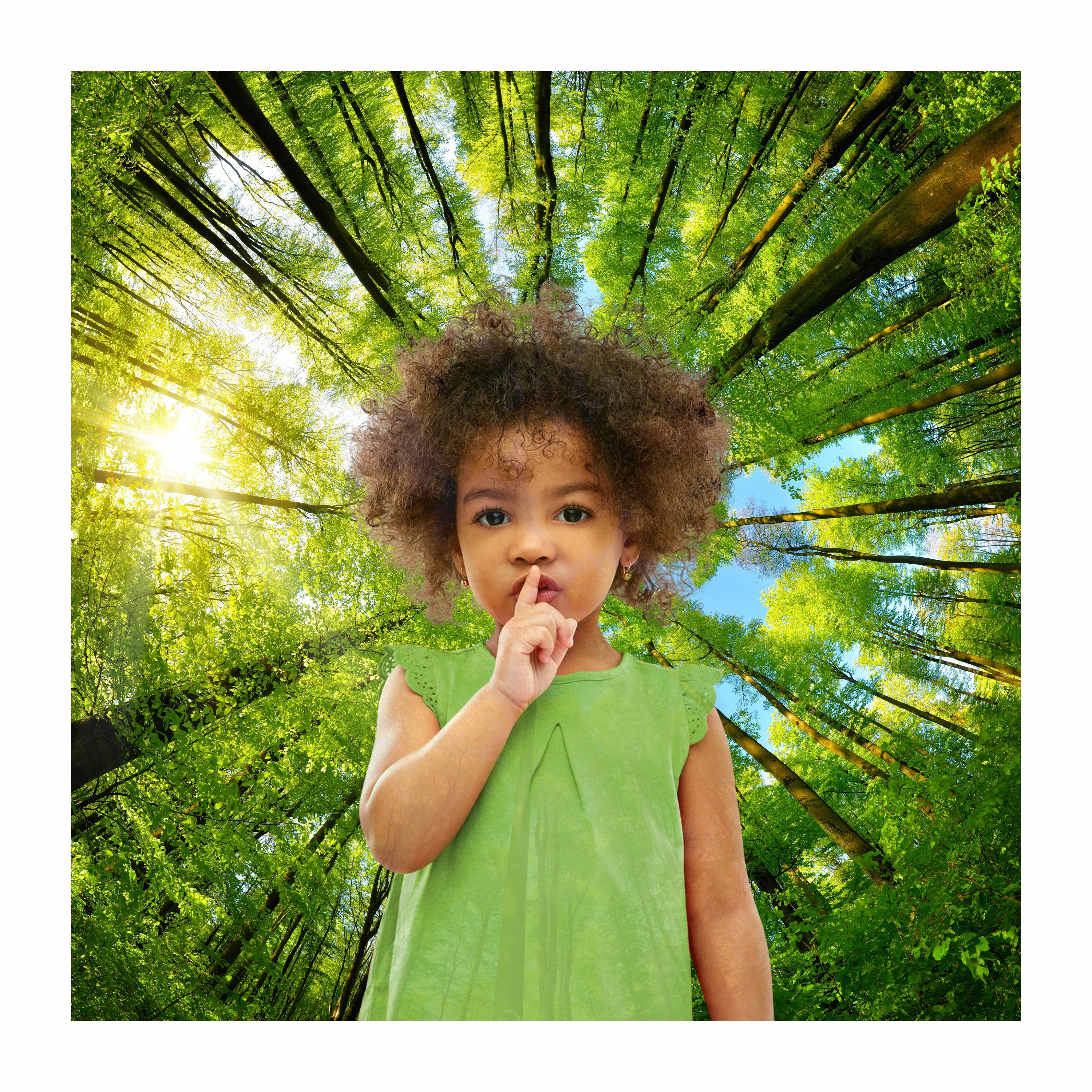 10 Hours Of Baby Shusher with Calm and Peaceful Afternoon Forest Birds episode artwork