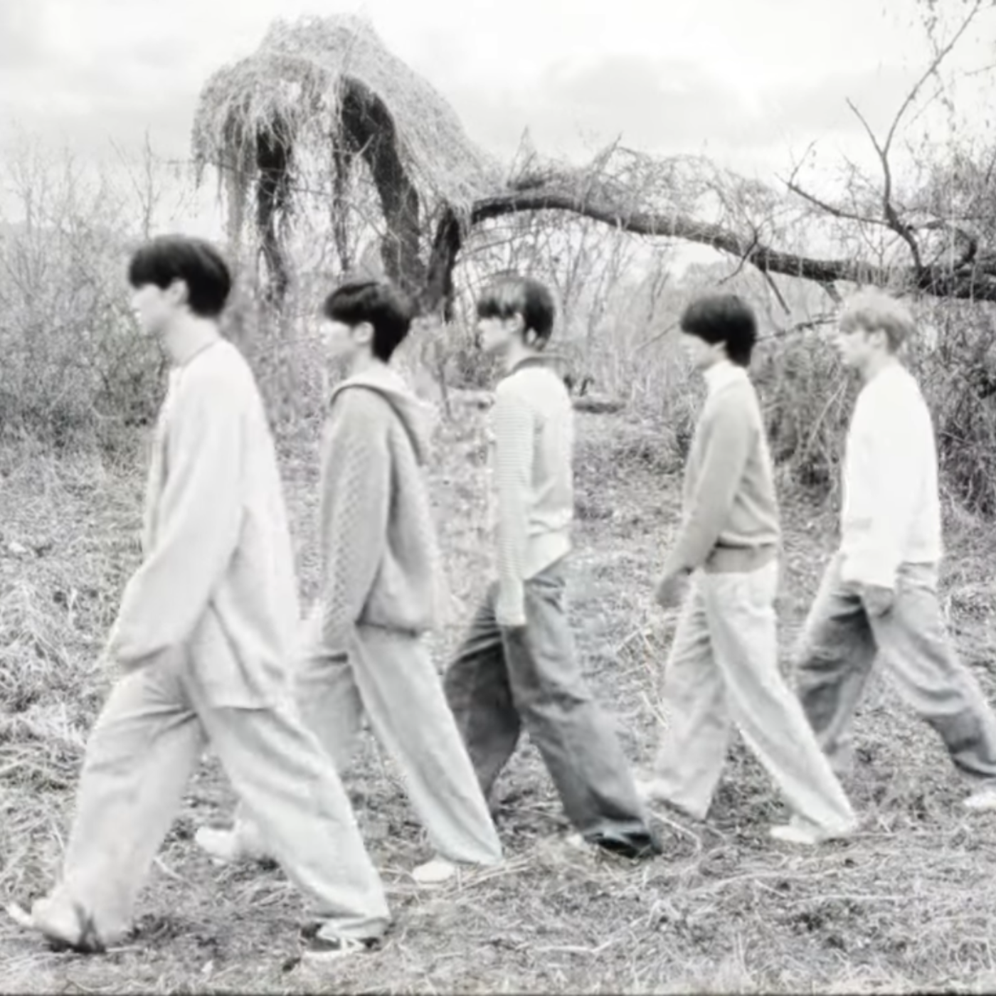 dreamer : tomorrow ver.