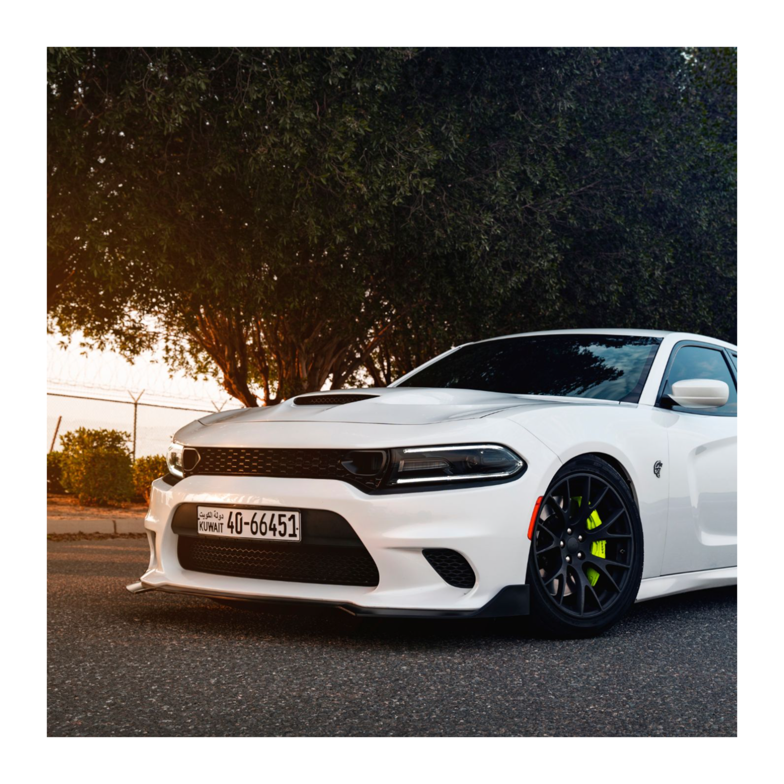 Driven Beyond Luxury