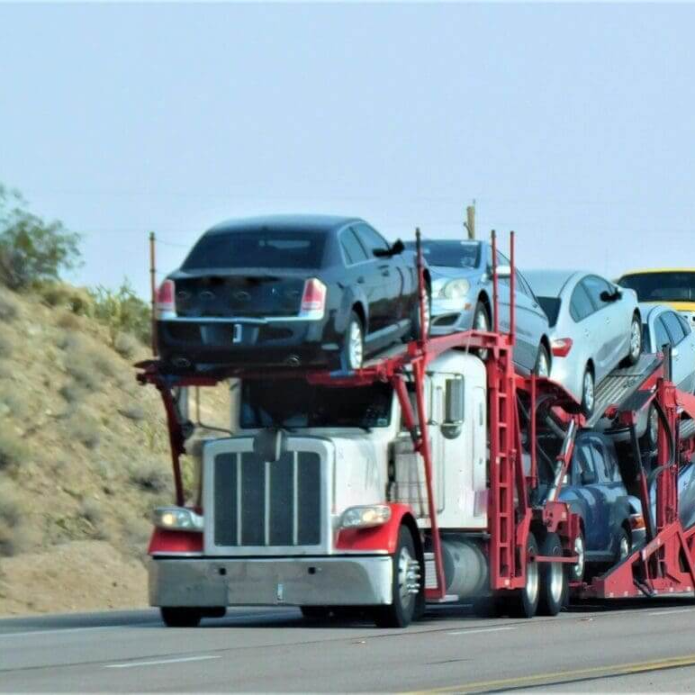 Driven Solutions: Navigating Auto Transport
