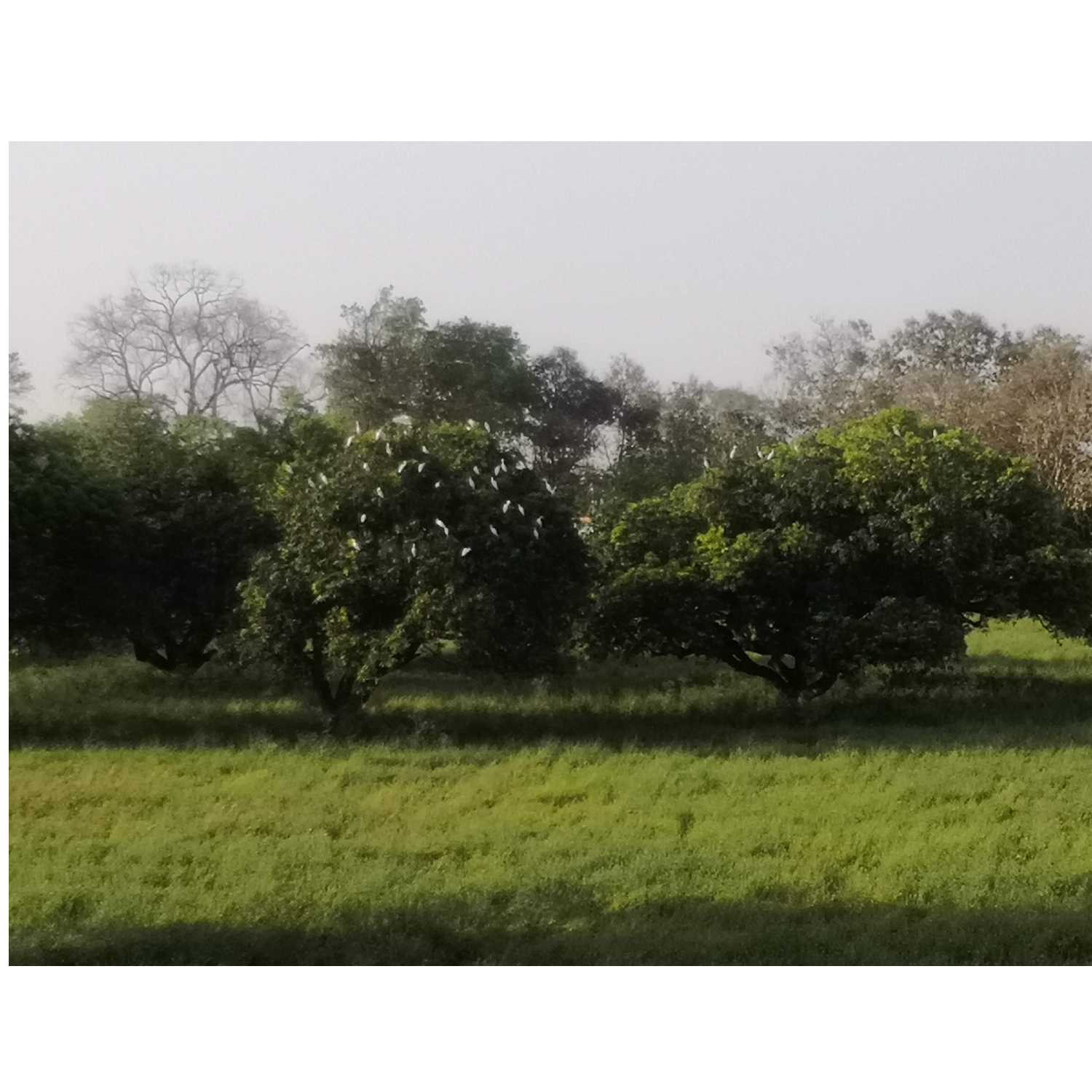 Podcast with Dr. MRINALINI / Diversity- Kuchh kahaniyaan, kuchh Mann ki baat, kuch health ki...