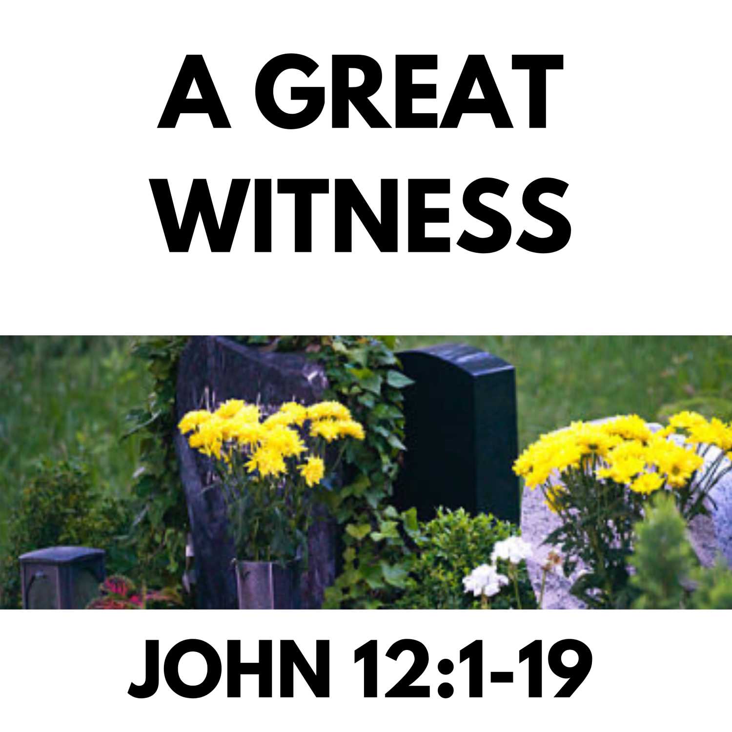 A Great Witness - John 12:1-19 (Communion Thanksgiving) episode artwork