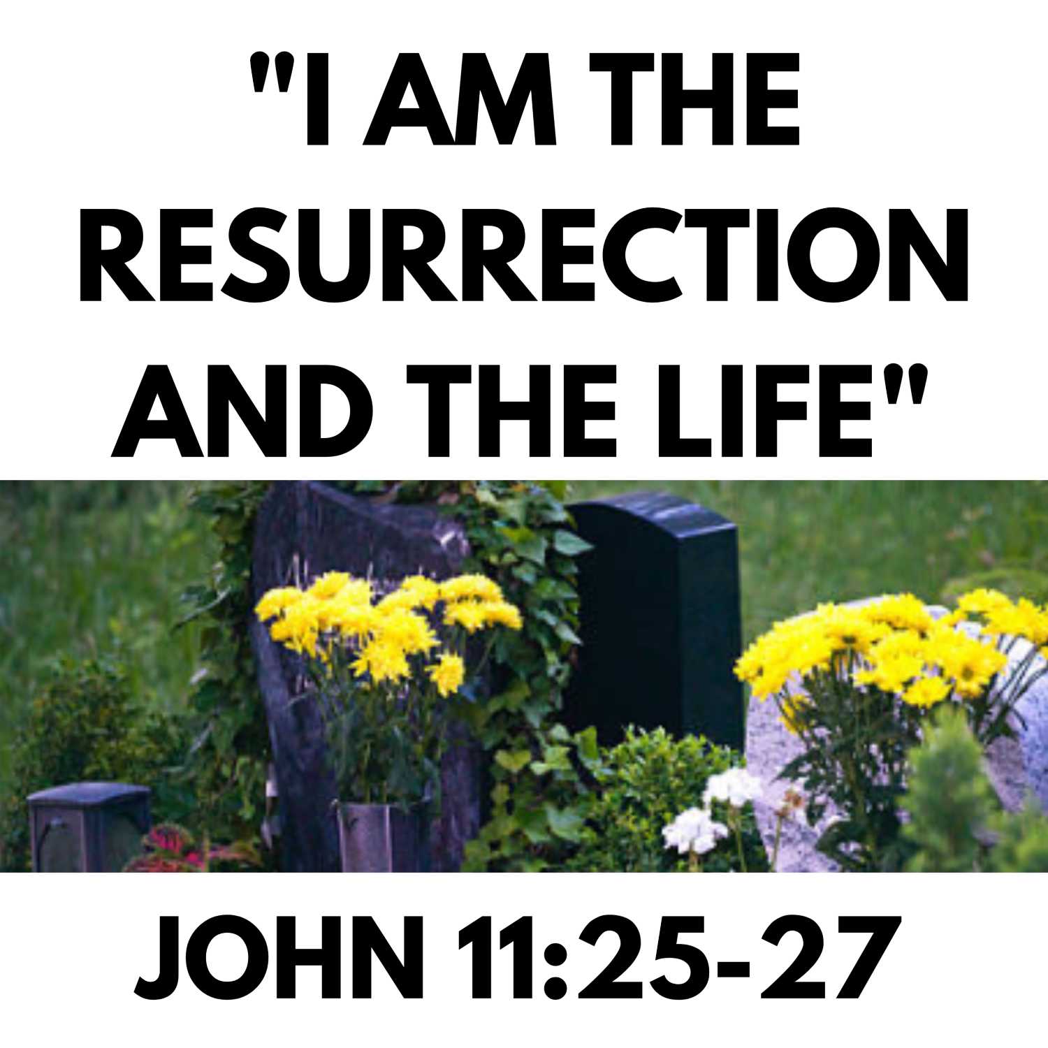 "I am the resurrection and the life" - John 11:25-27 (Communion) episode artwork